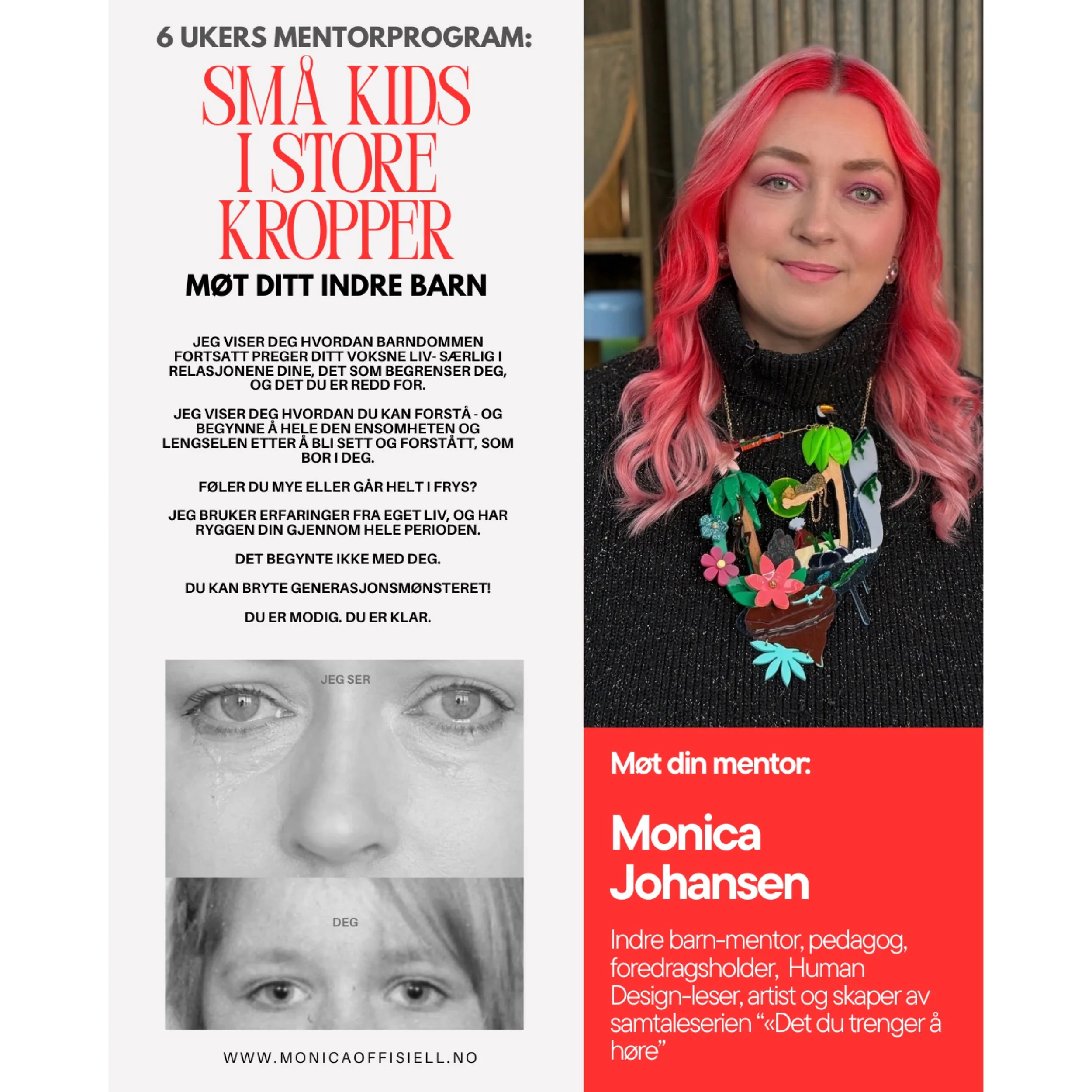 Mentorprogrammet mitt er åpent!