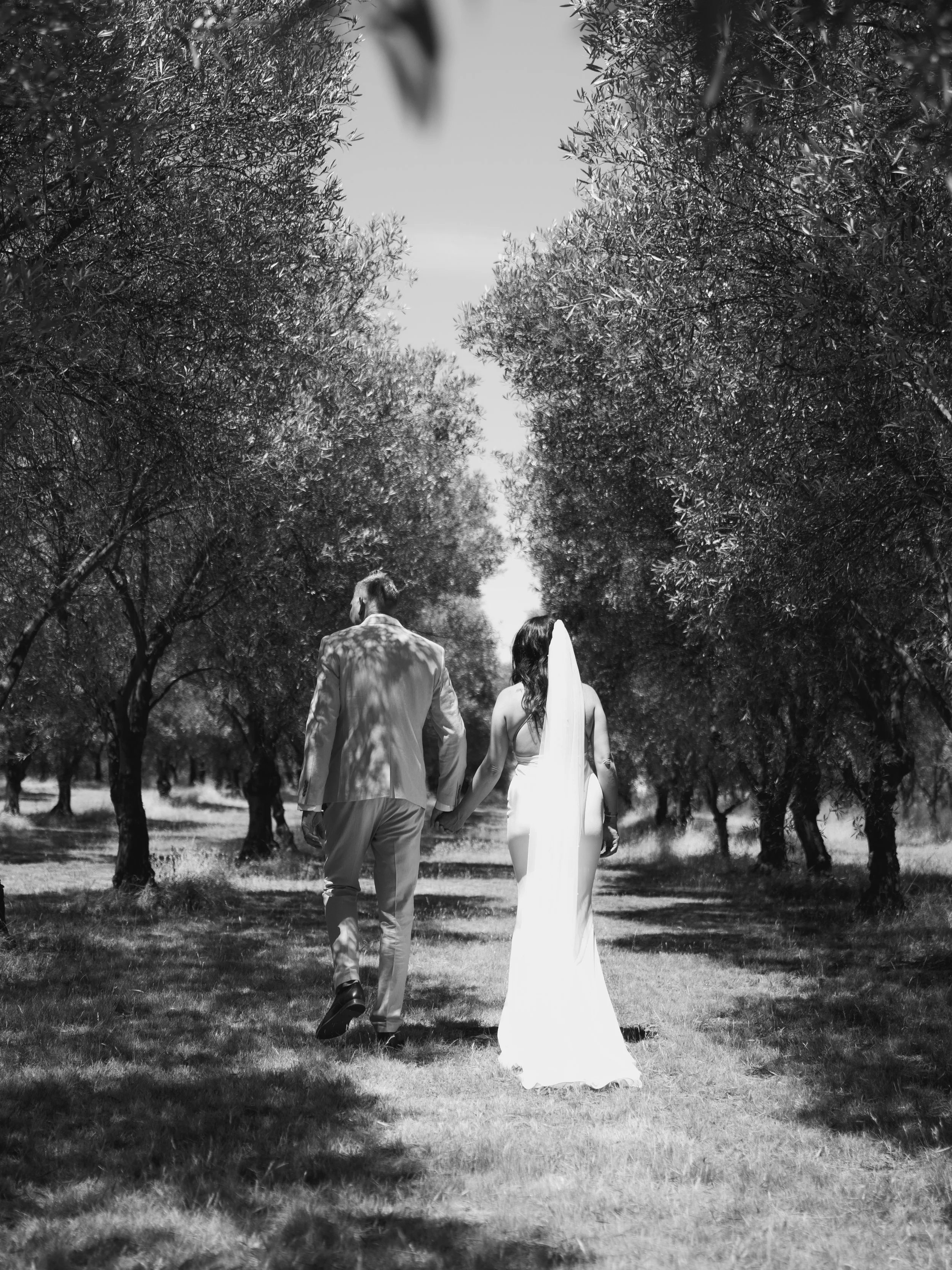 A couple in wedding attire, a man in a suit and a woman in a wedding dress with a veil, holding hands and walking through a grove of trees.