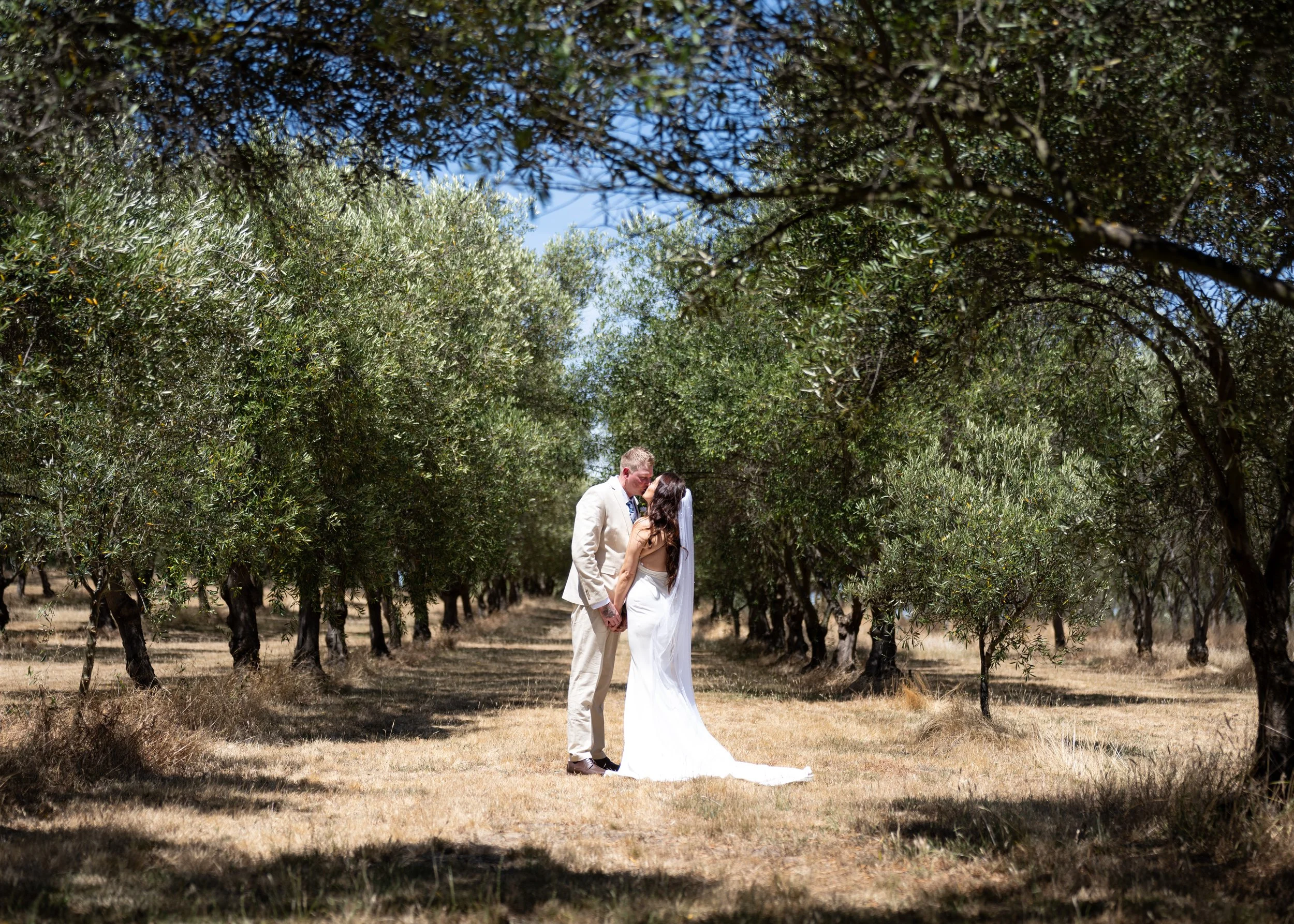 A bride and groom sharing a kiss in a vineyard with rows of grapevines and a bright blue sky.