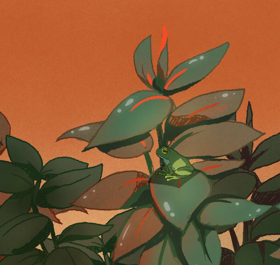 rubberplant.jpg