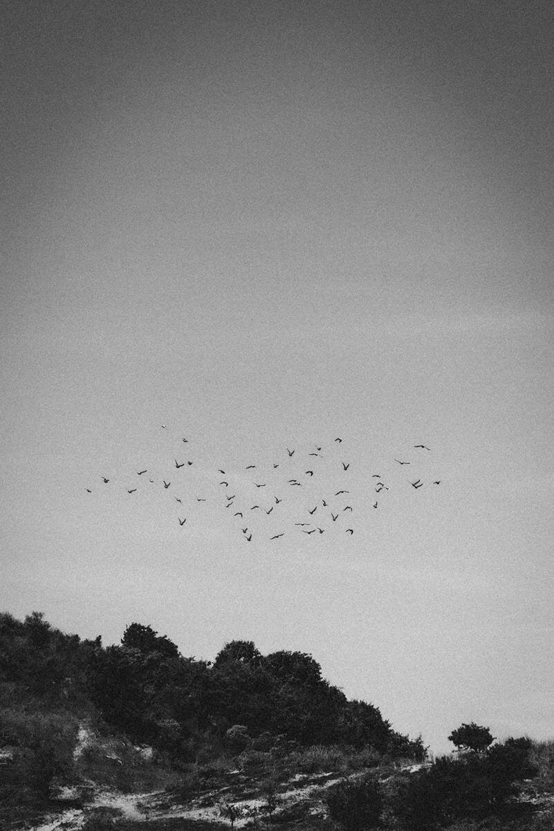 Memoires, Moments of Light 