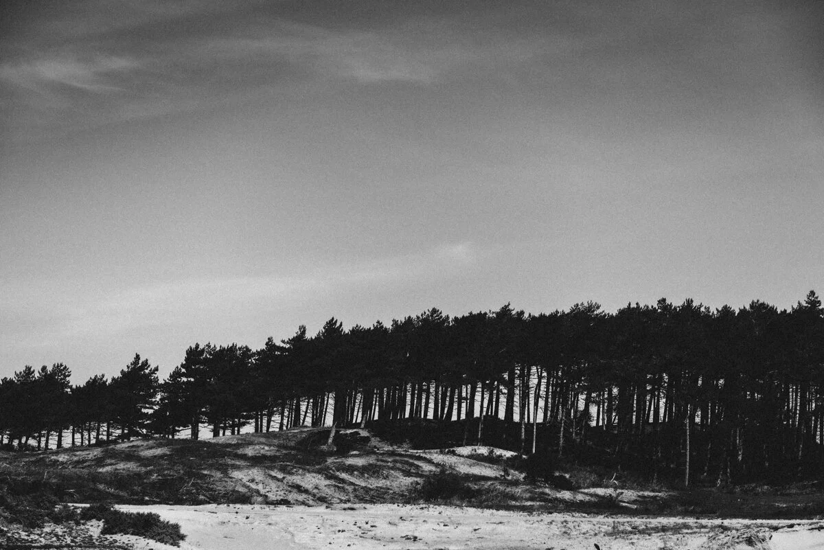 Memoires, Moments of Light