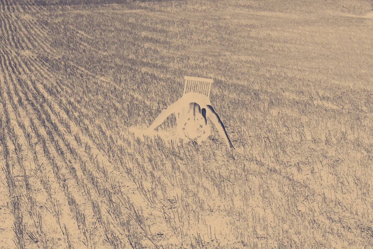 no titlefine art print1/3 AP
