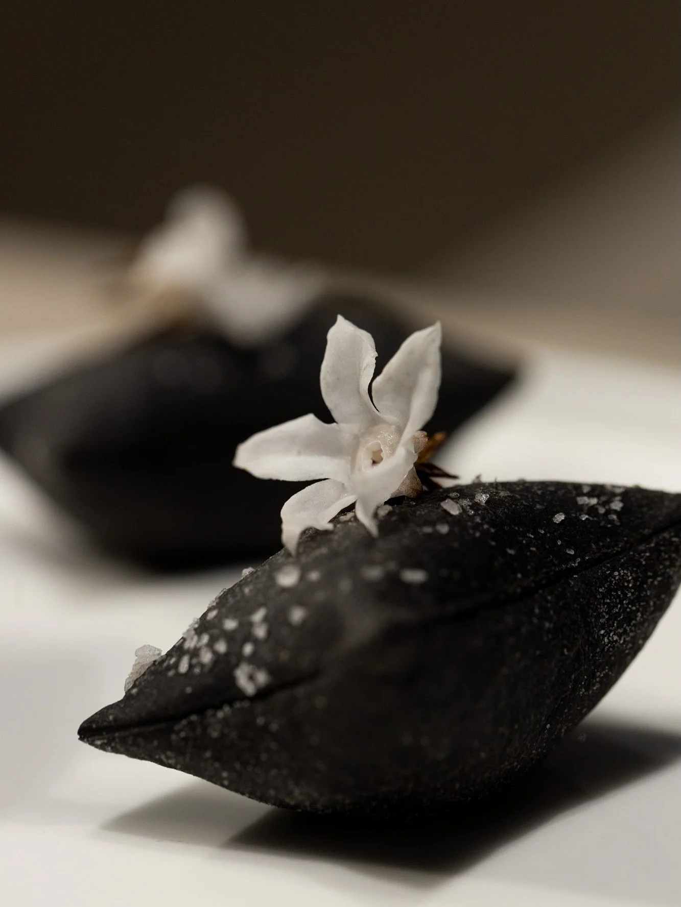 A beautiful canape event for London Design Festival where food became art. 
A string colour theme of Black and White days was the centre point of the menu. Here we share a selection of our favourites:

Squid Ink Pillows with Piquillo Puree
Charcoal &