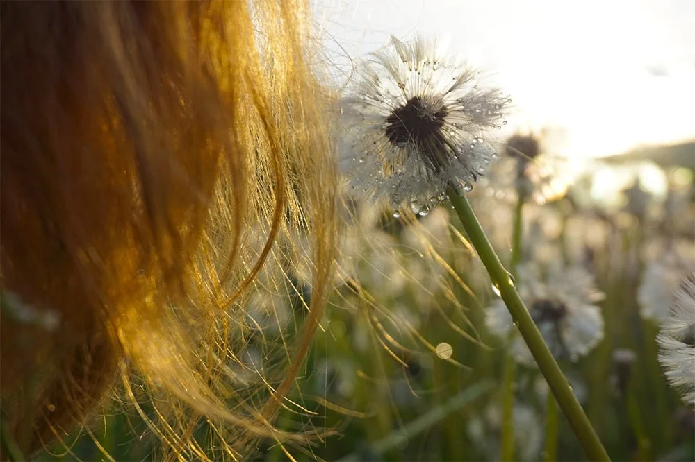 Il Mio Occhio è Tornato a Vivere, i Capelli Sono Rinati