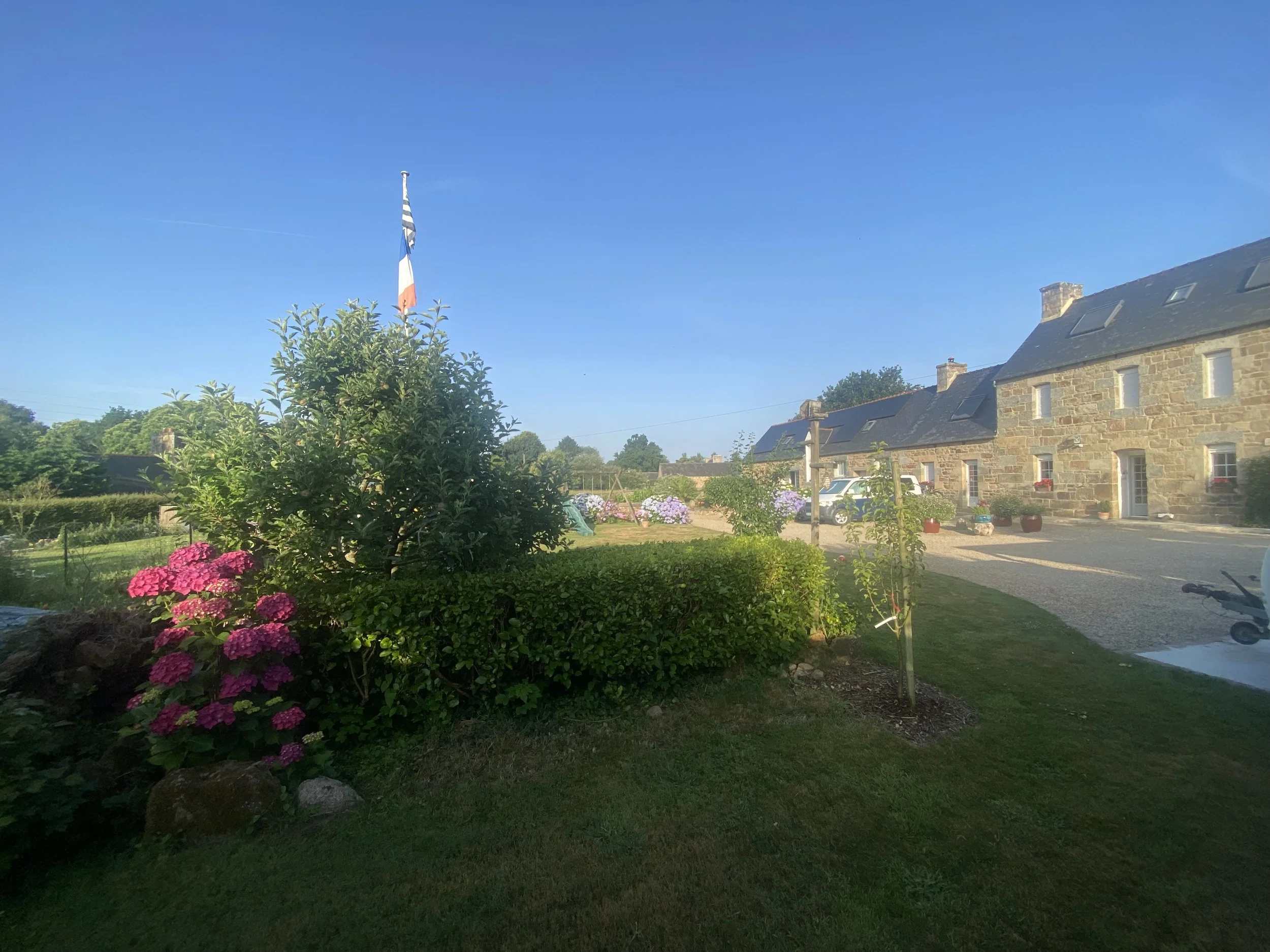 IMG_3449.jpeg
