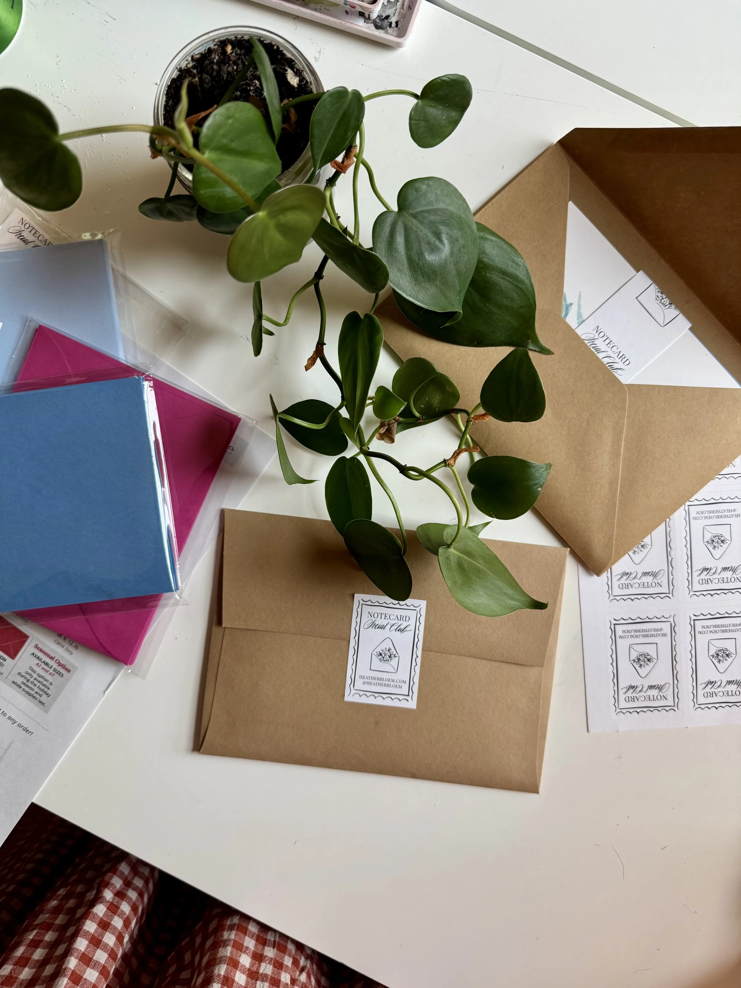 Photo Mar 27 2026, 2 43 13 PM.jpg