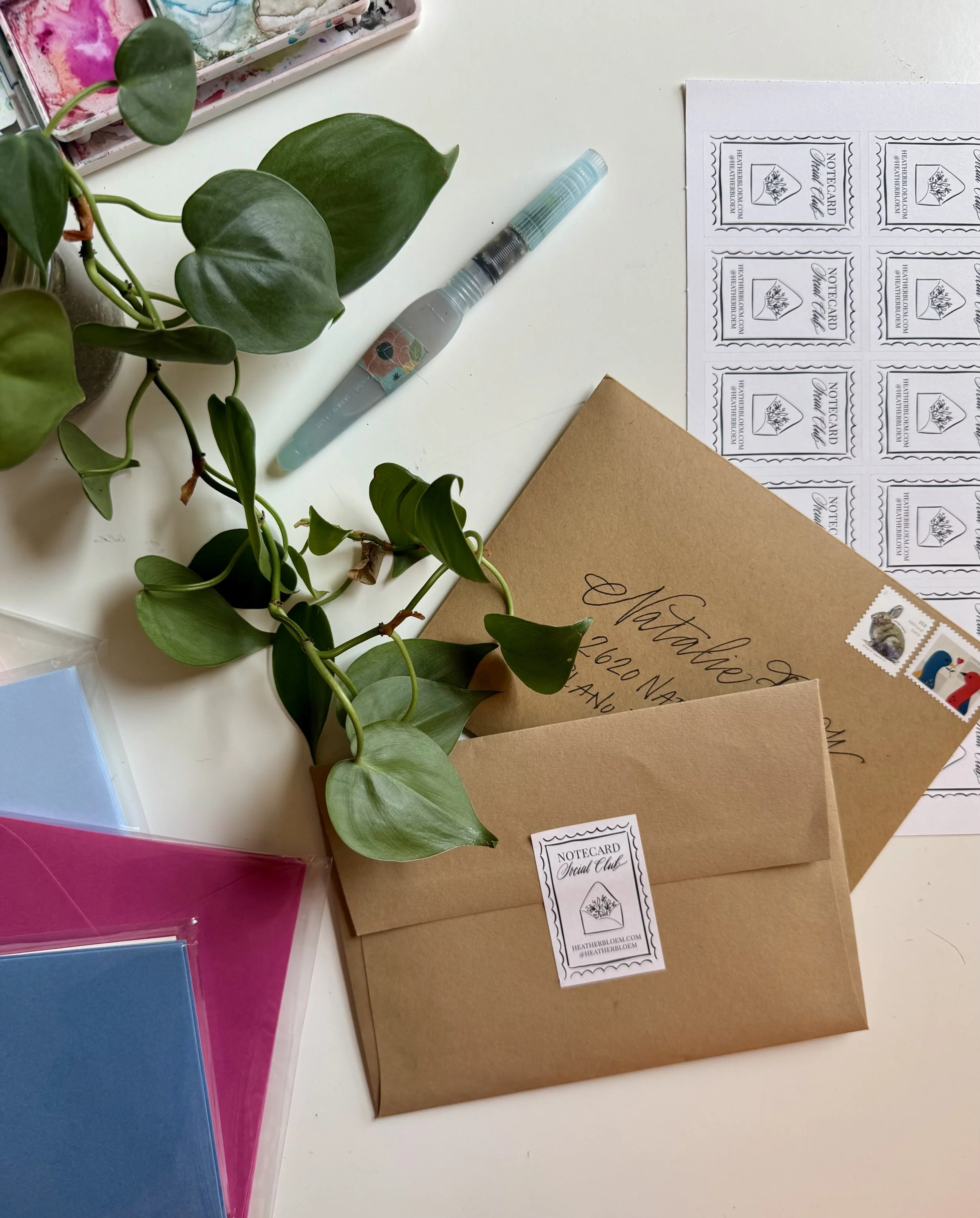 Photo Mar 27 2026, 2 47 28 PM.jpg