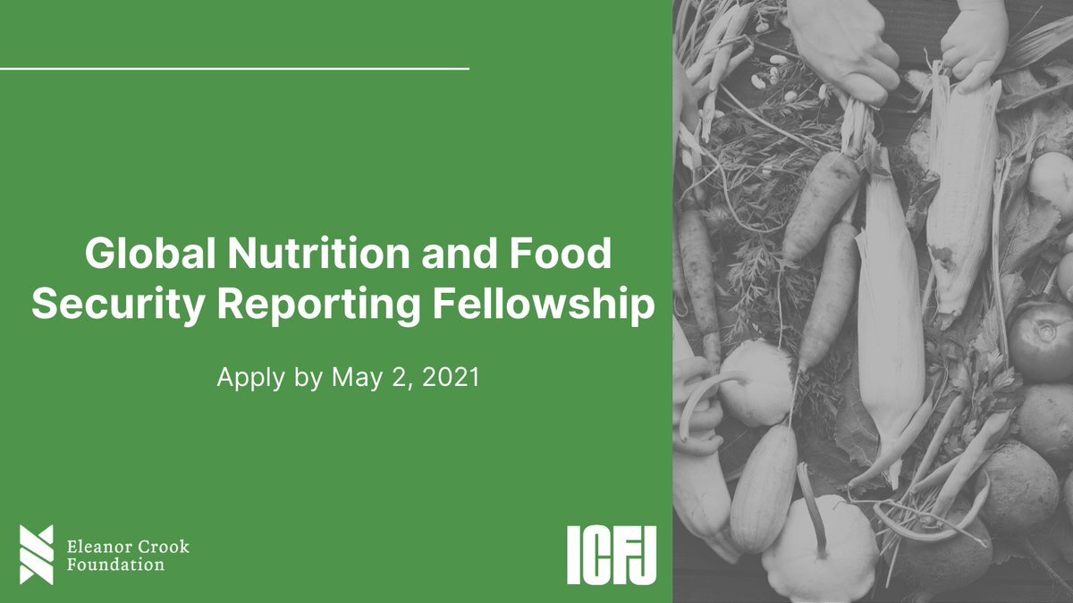 Global Nutrition and Food Security Reporting Fellowship