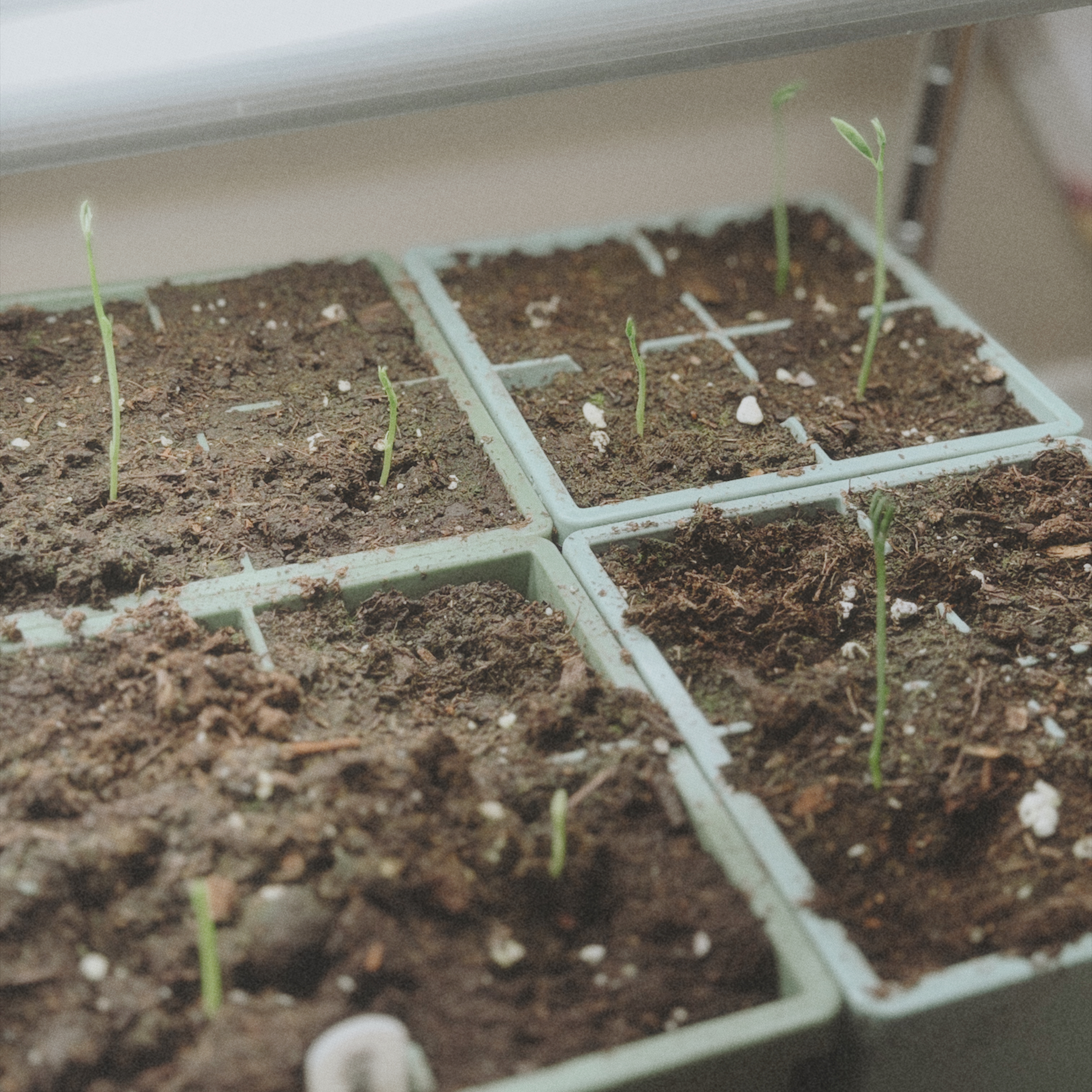 My Monthly Favourites for March 2026