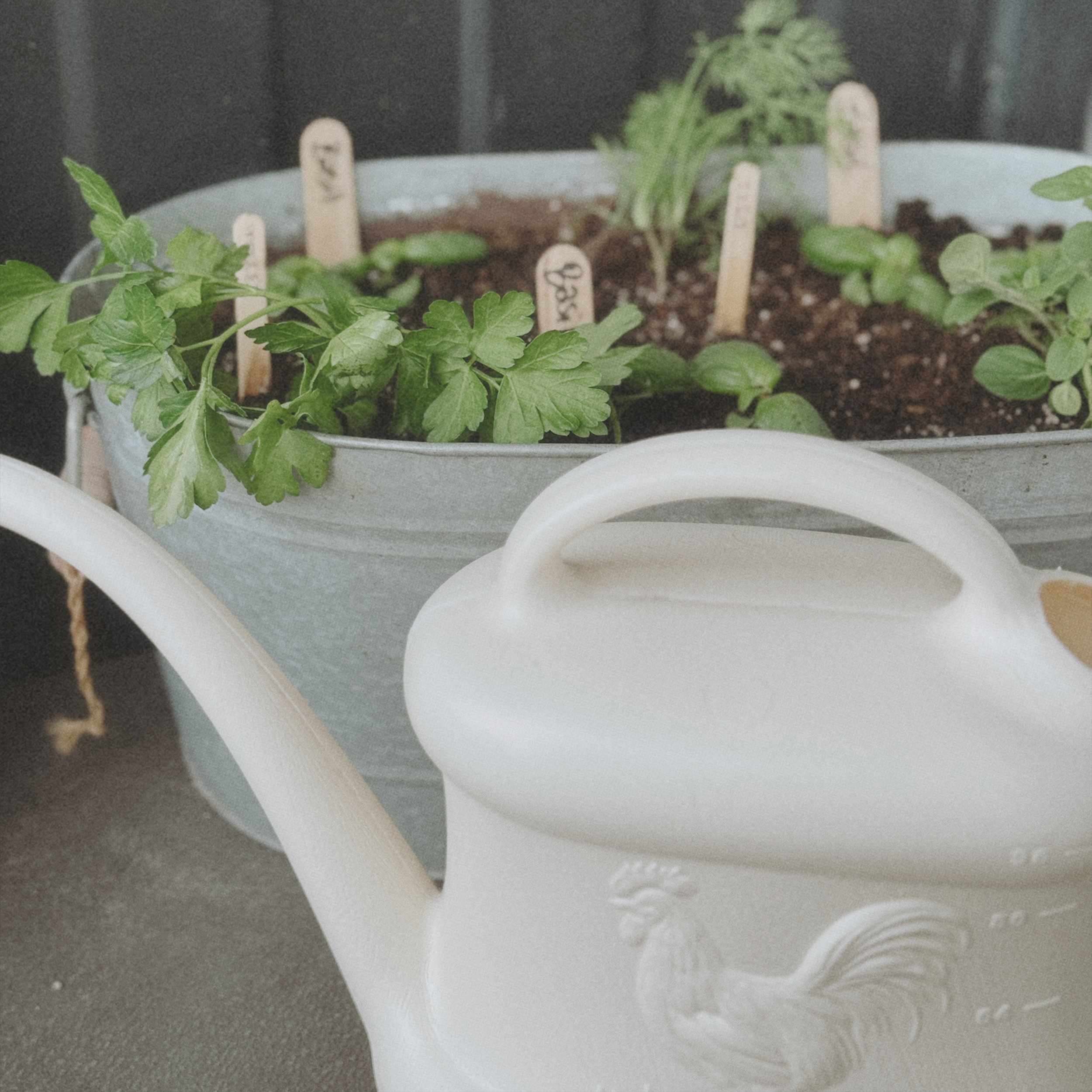 My Monthly Favourites for May 2026