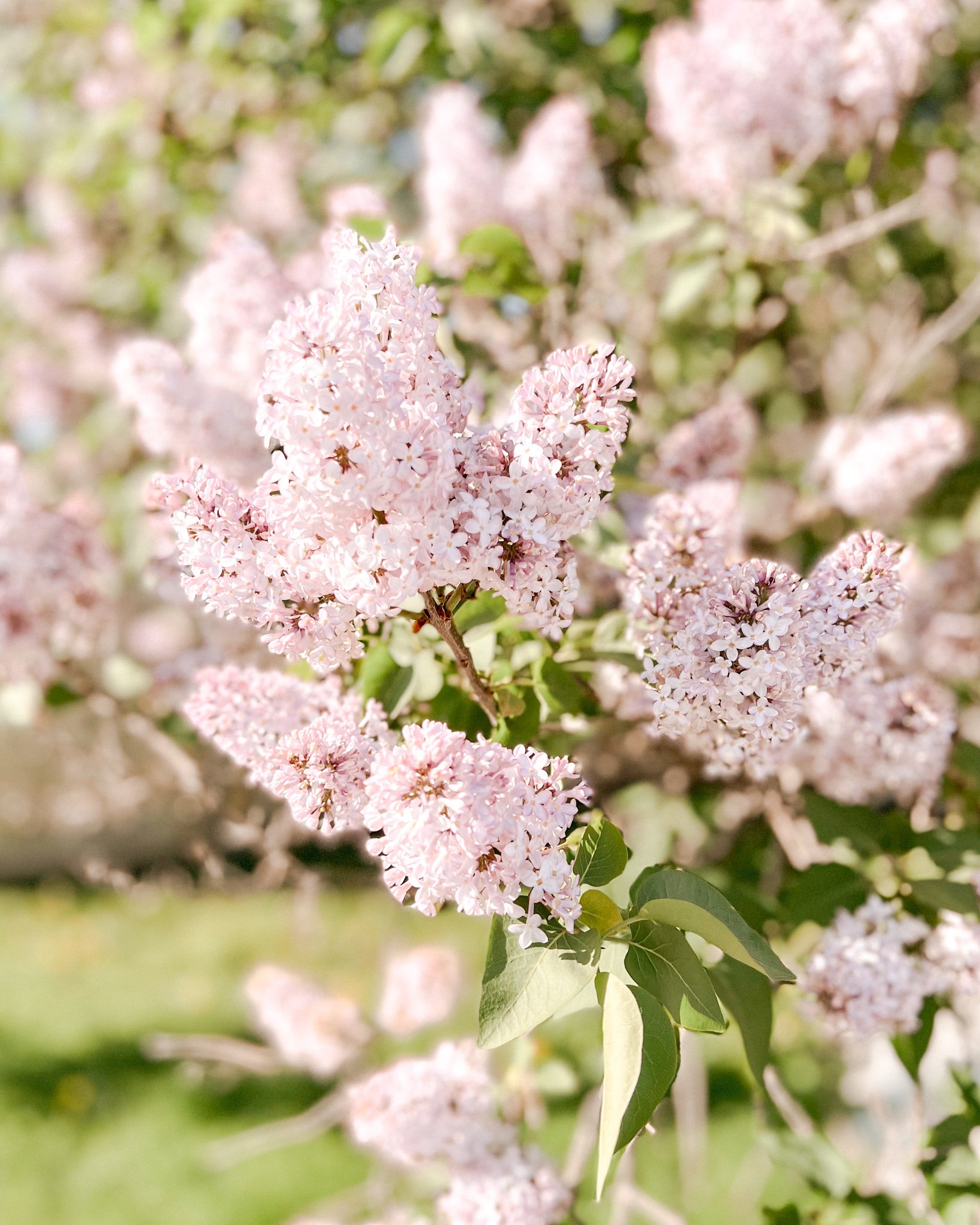 Unboxing the Fall 2022 Jilly Box — Emily Lavinskas Lifestyle Brand