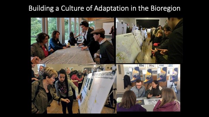 culture of adaptation.jpg