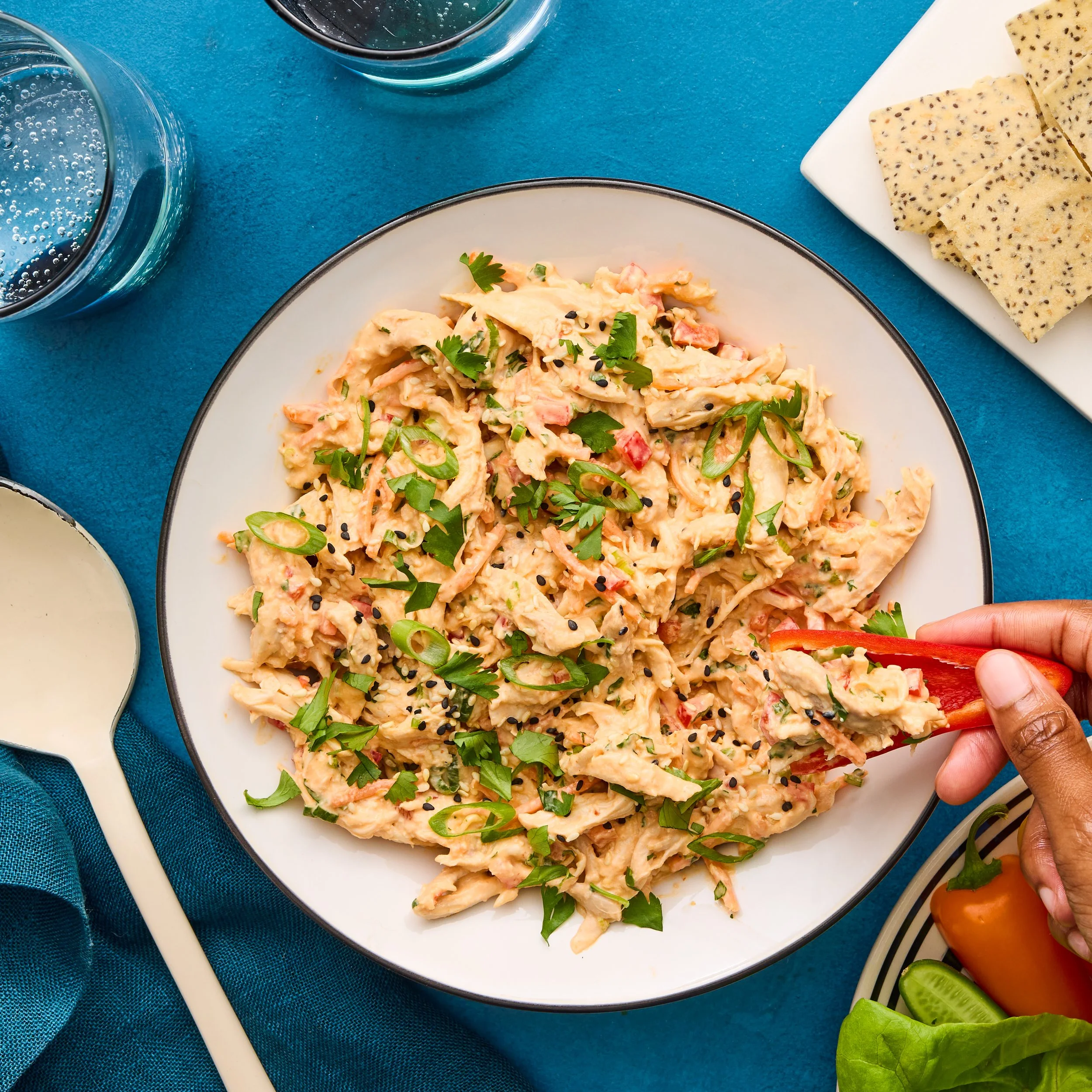Bang-Bang-Chicken-Salad-DDMFS-1x1-17480.jpg
