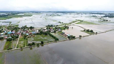 February 2022 quarterly update