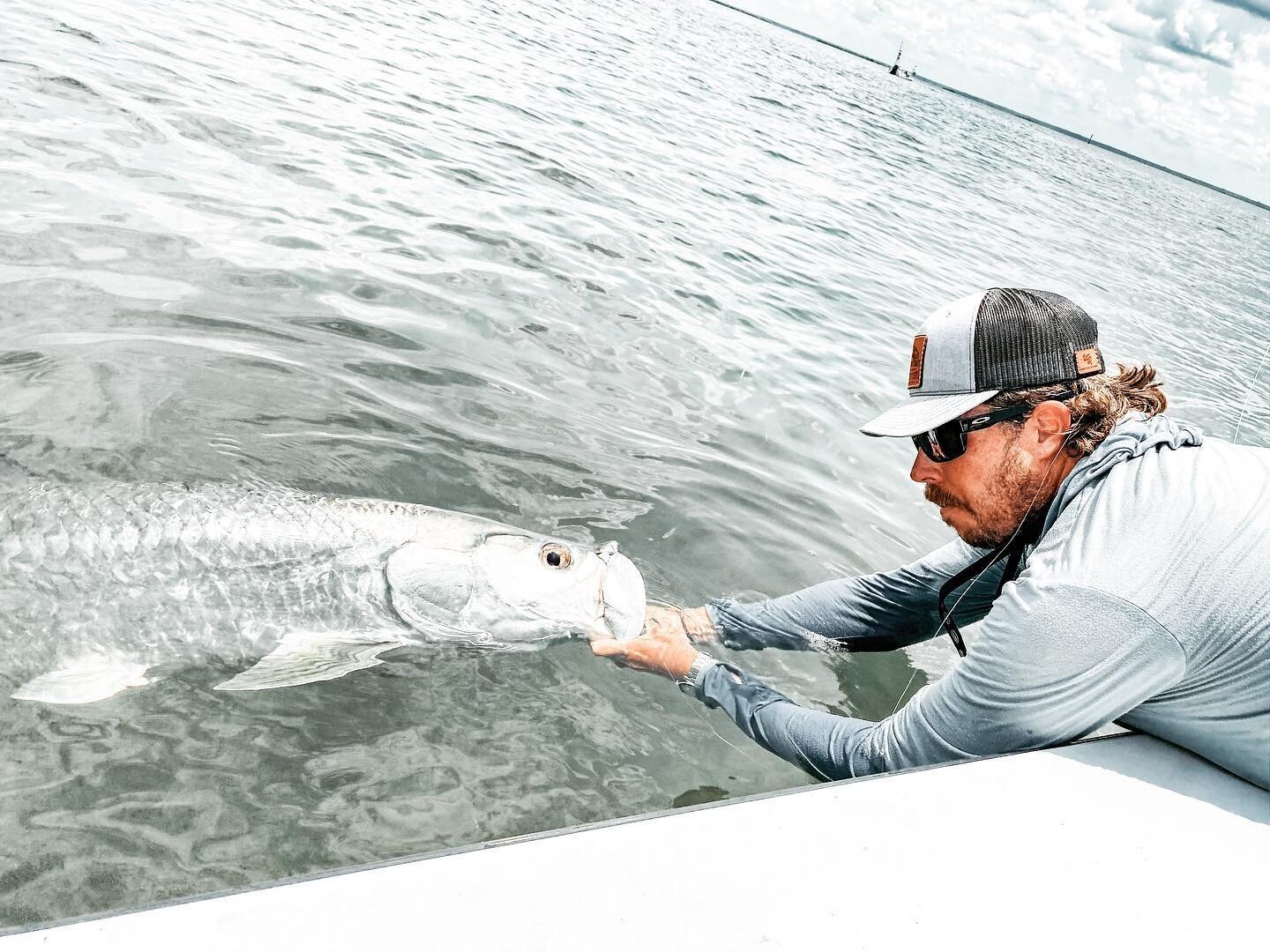 Lucky to eat, sleep &amp; breathe these fish for a few months out of the year and it&rsquo;s still never quite long enough. &bull;
&bull;
&bull;
#naturecoastfinandfeather #eastcapeboats #tarponseason2020 #tarpononfly #sodiumfishinggear #fishflorida