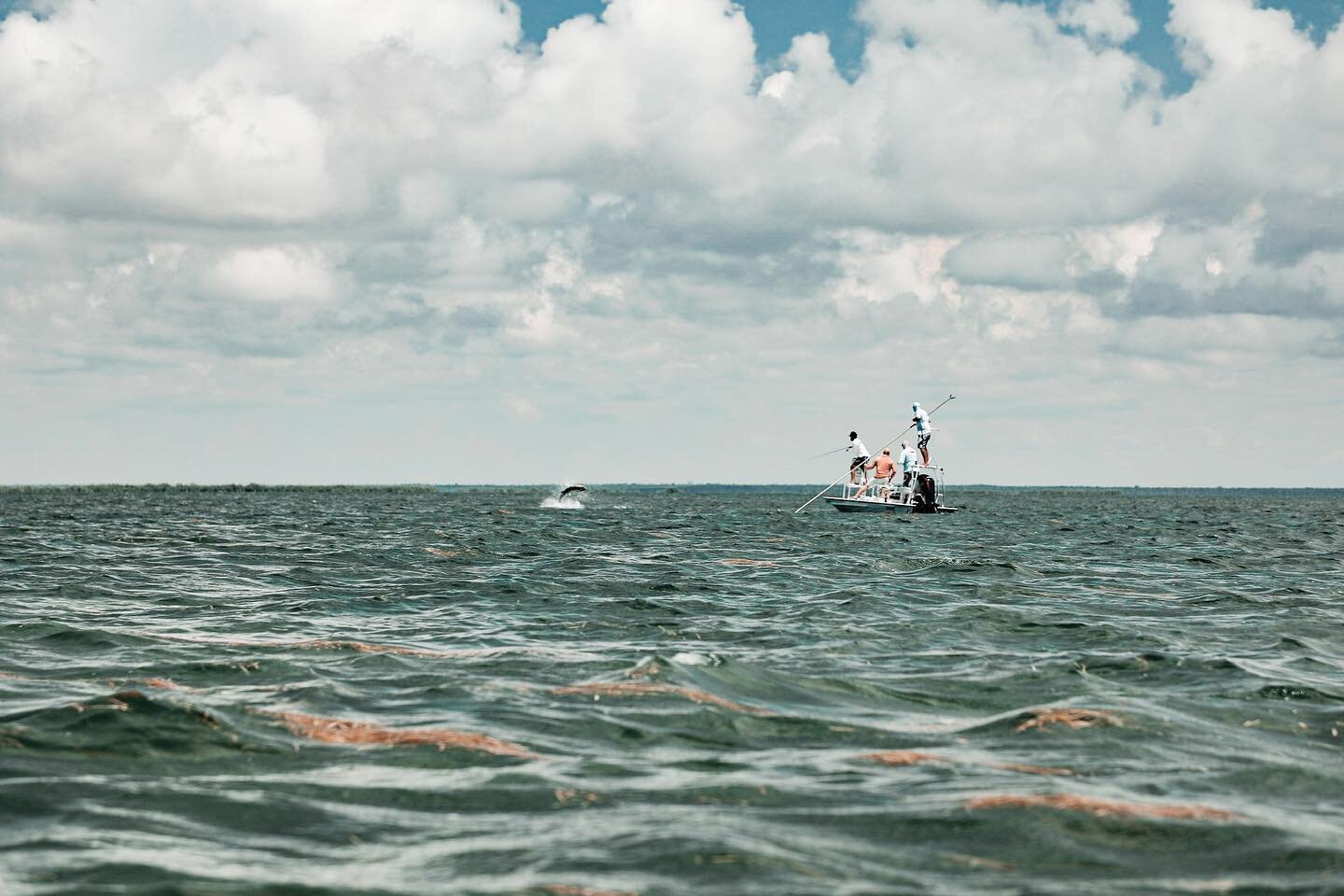 This fish had quite the cheering section. Prime tarpon season dates are still available! &bull;
&bull;
&bull;
#tarpononfly #fishnaturecoast #sodiumfishinggear #nautilusreels #eastcapeboats #truewildflorida #memorialdayweekend #saturdaysarefortheboys