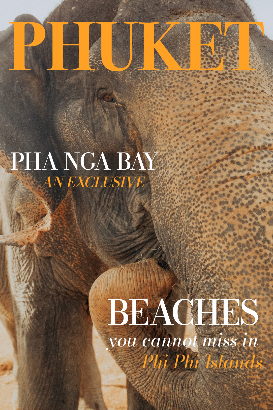 Magazine_Cover.png