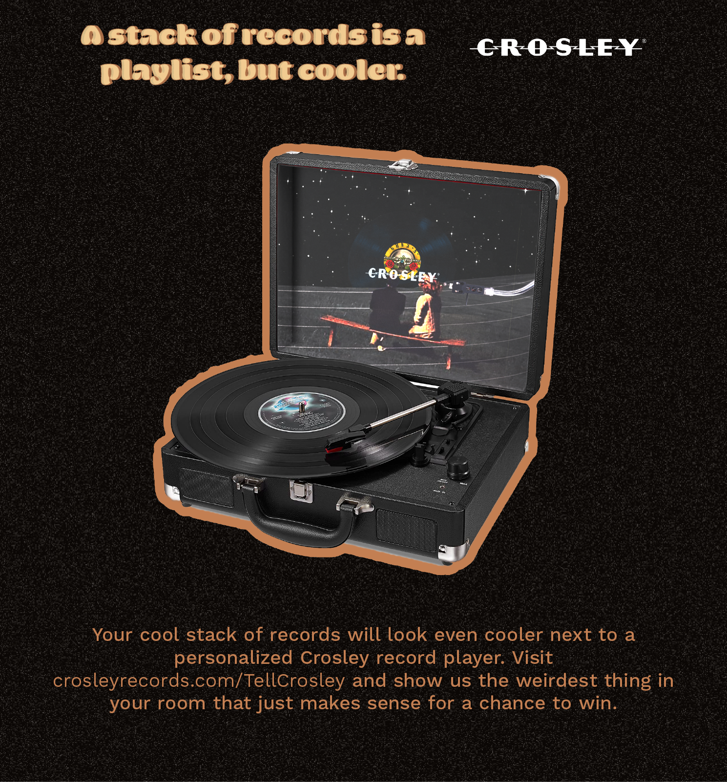 Vynil Dividers Visual.