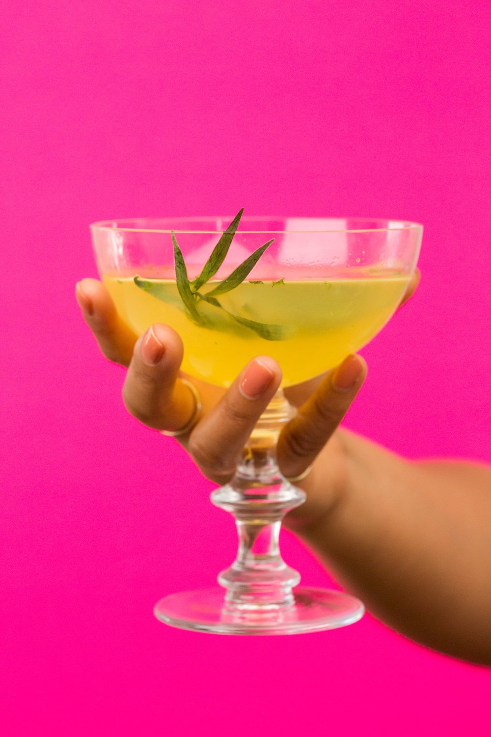 Cocktails 0P5A9906.jpeg