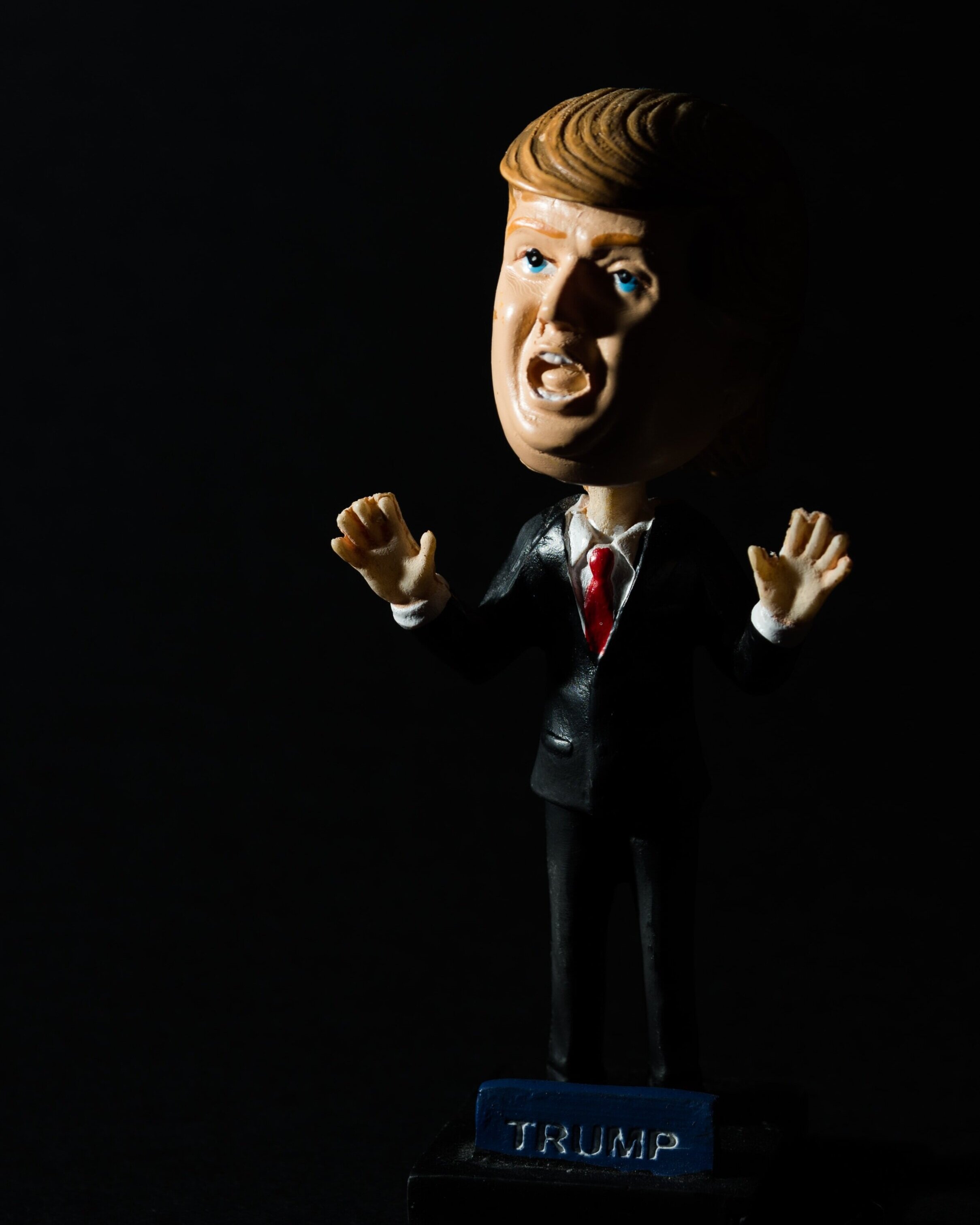 Democracy in Disarray