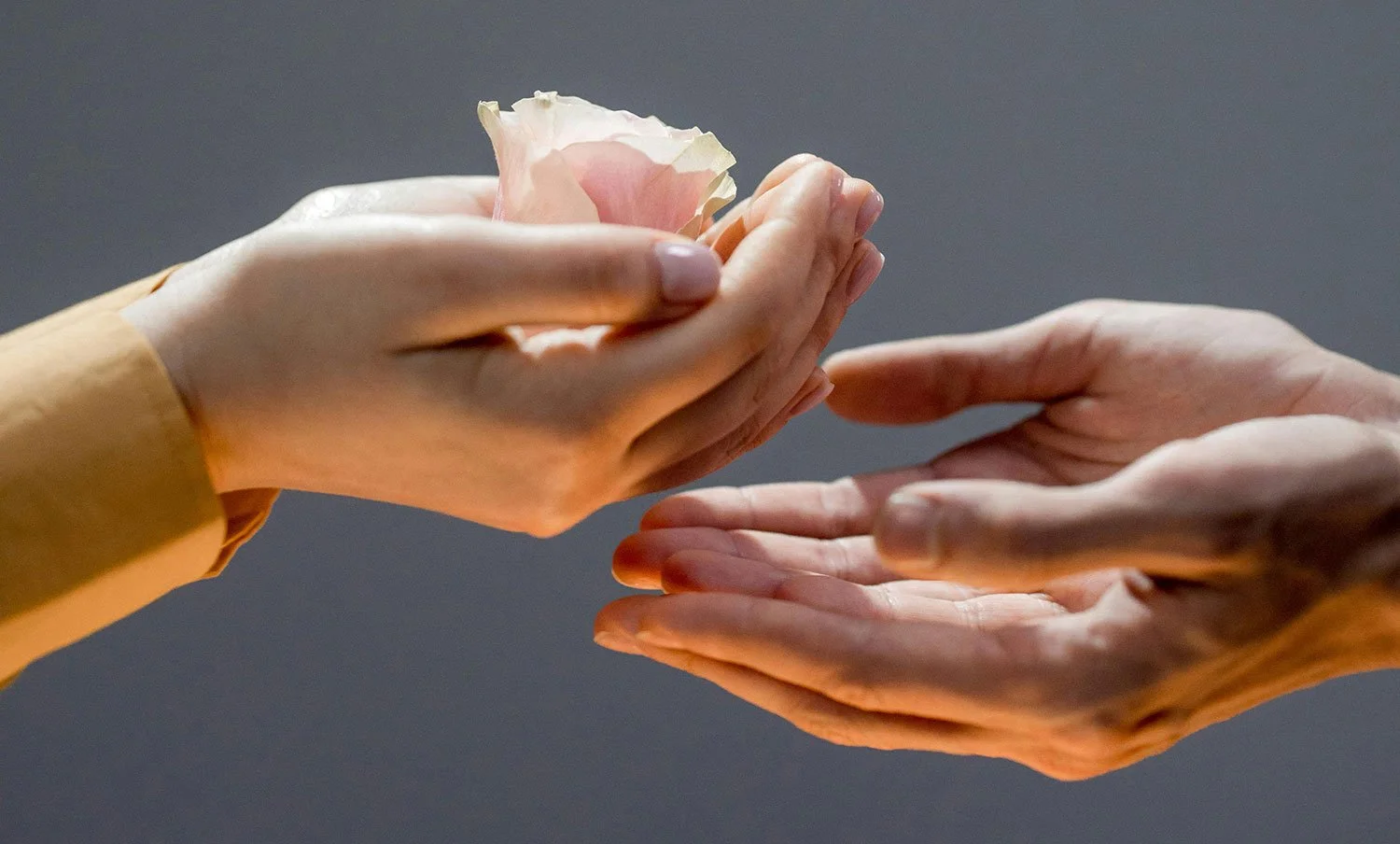 Receiving and Giving –               A New Perspective