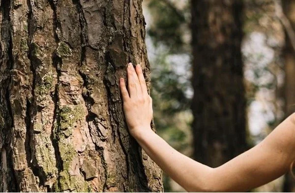 Perfectly Imperfect: Embracing Wabi-Sabi in Everyday Life