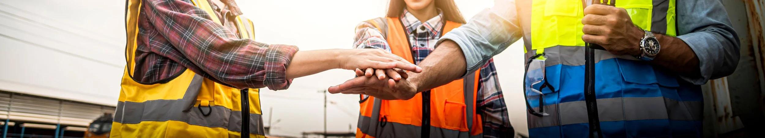 shutterstock_1965326872 small.jpg