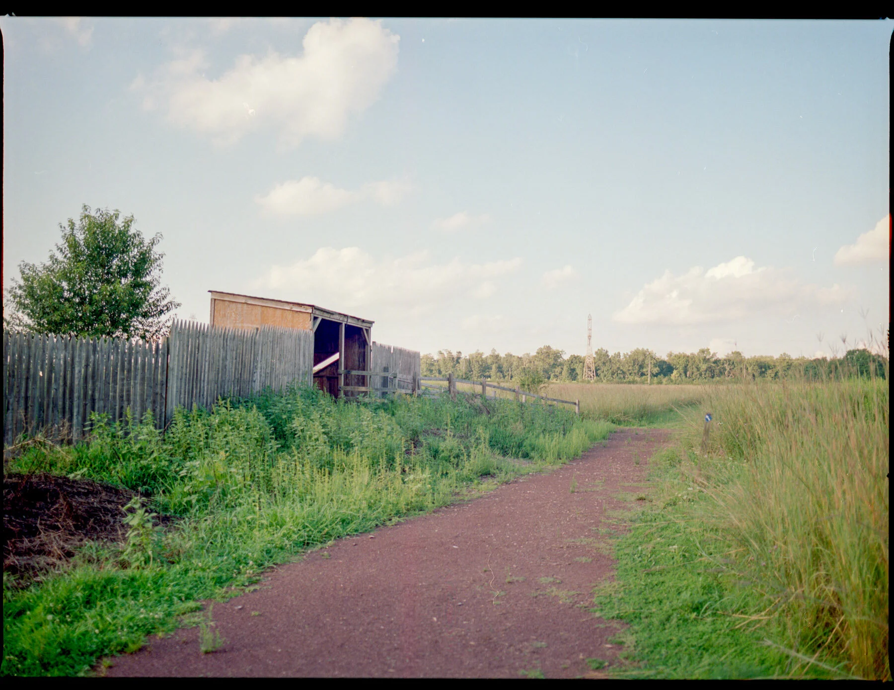 FranklinWalkFilm120 (1).jpg