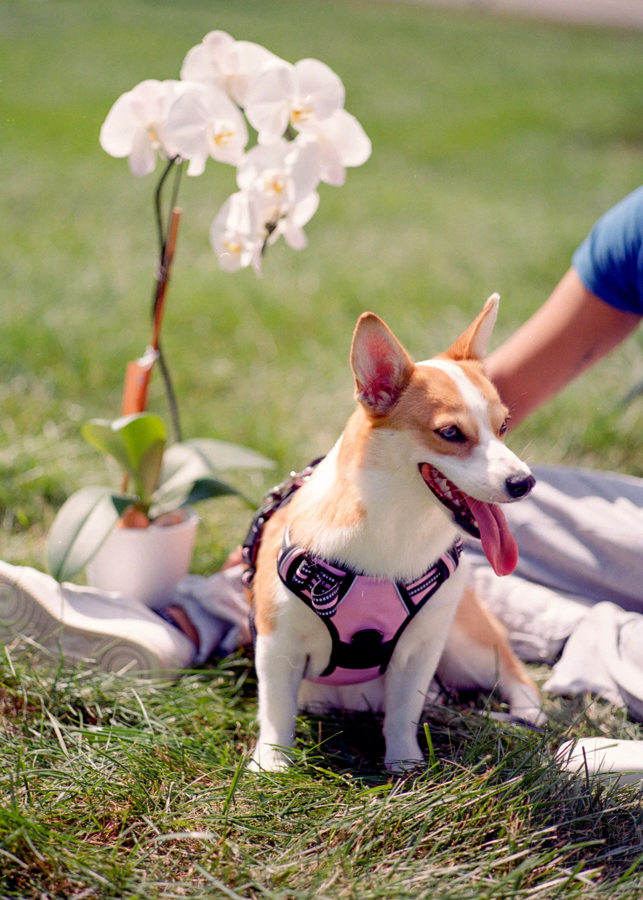 KendrickMgtmf120 (8).jpg