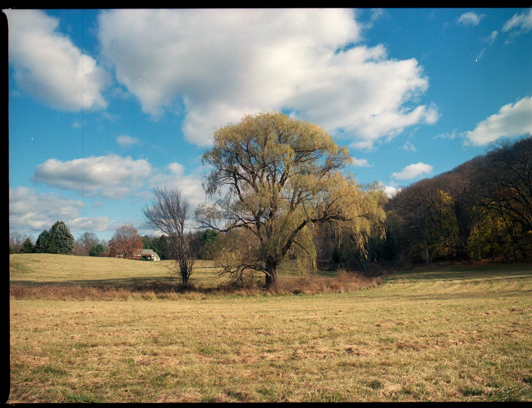 ColdSprings120 (2).jpg