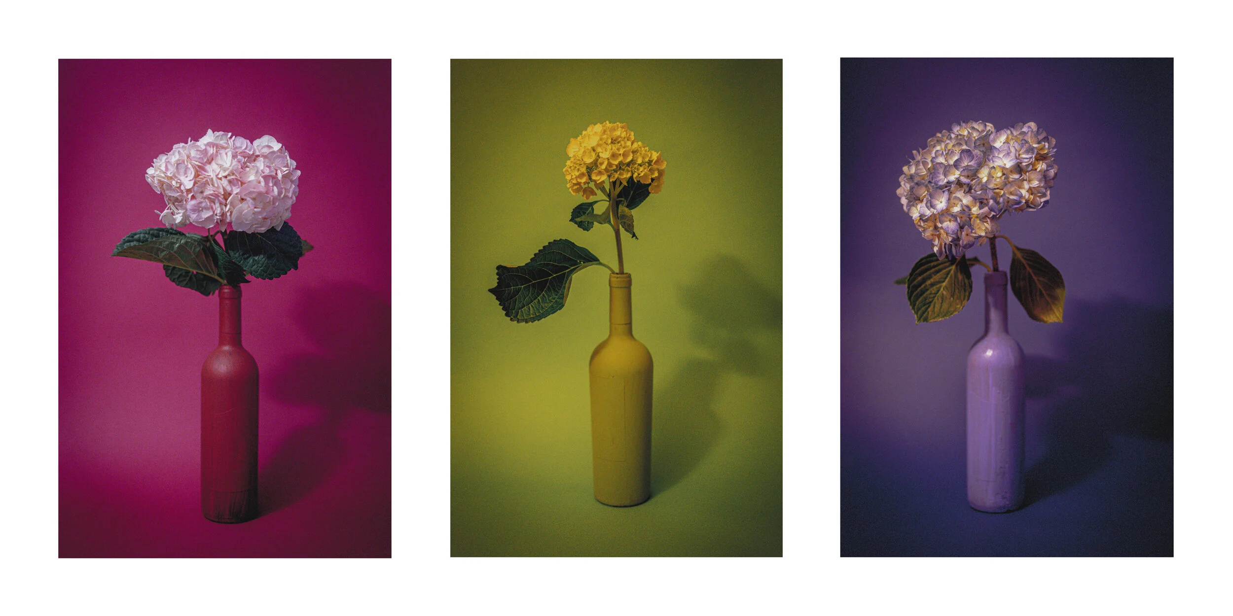 Flower Trio (Bundle)