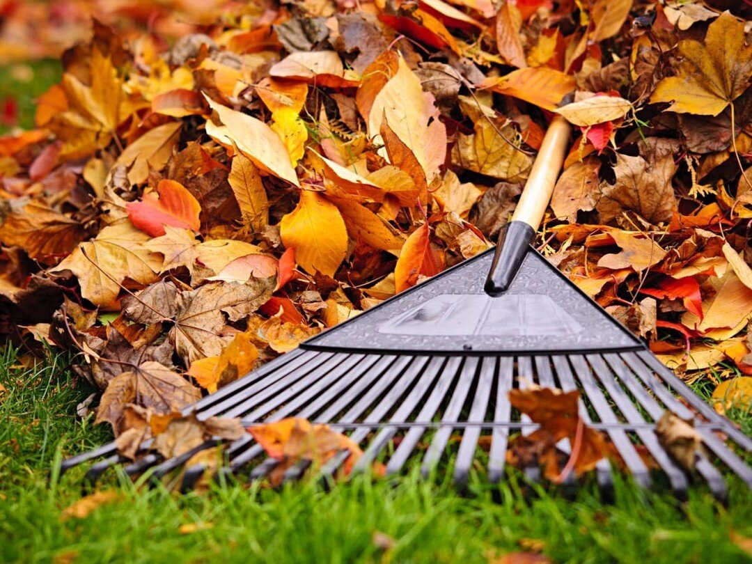 Leaves are dropping soon, which means great places for bugs and rodents to hide! Keep leaves out of your garage, and from blowing into piles around your home. This cover allows these critters to move freely and potentially burrow into spots along you