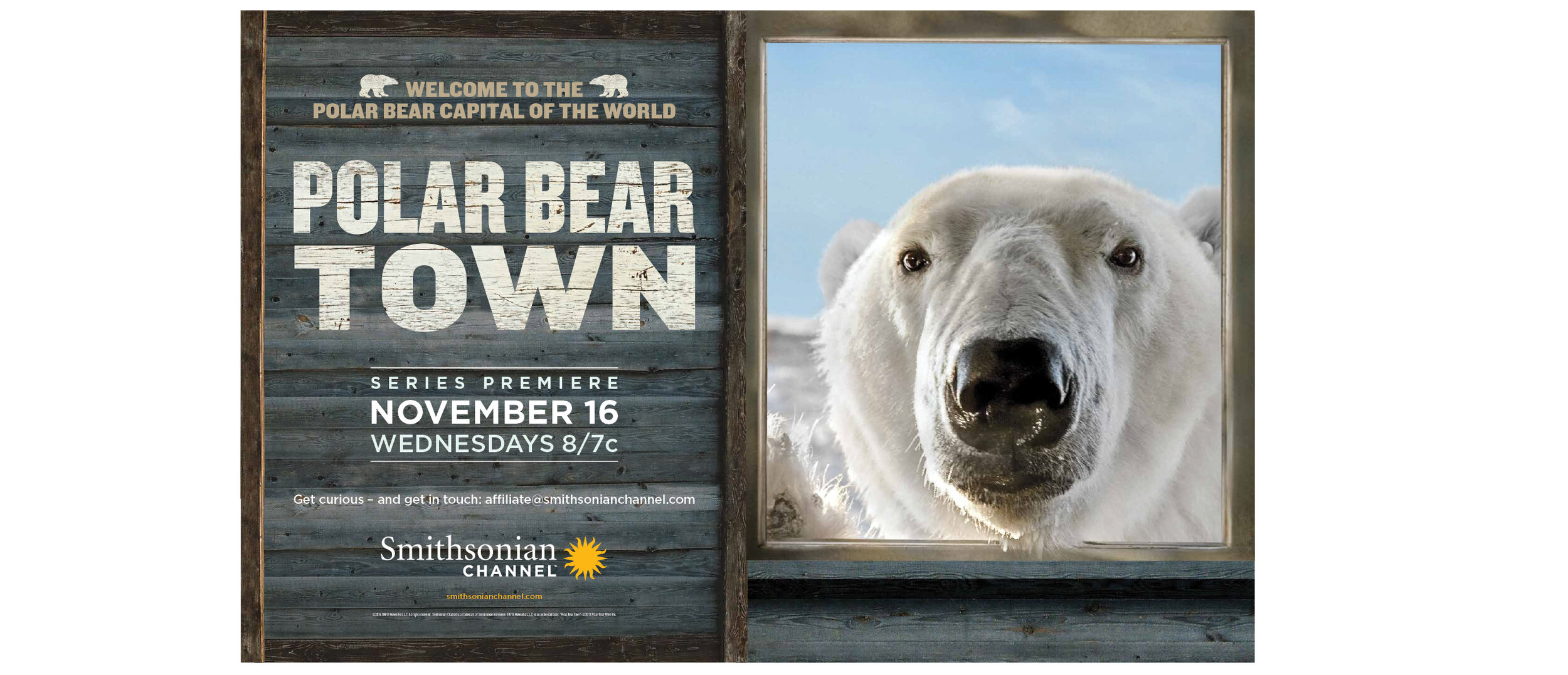 Polar Bear Town / Key Art
