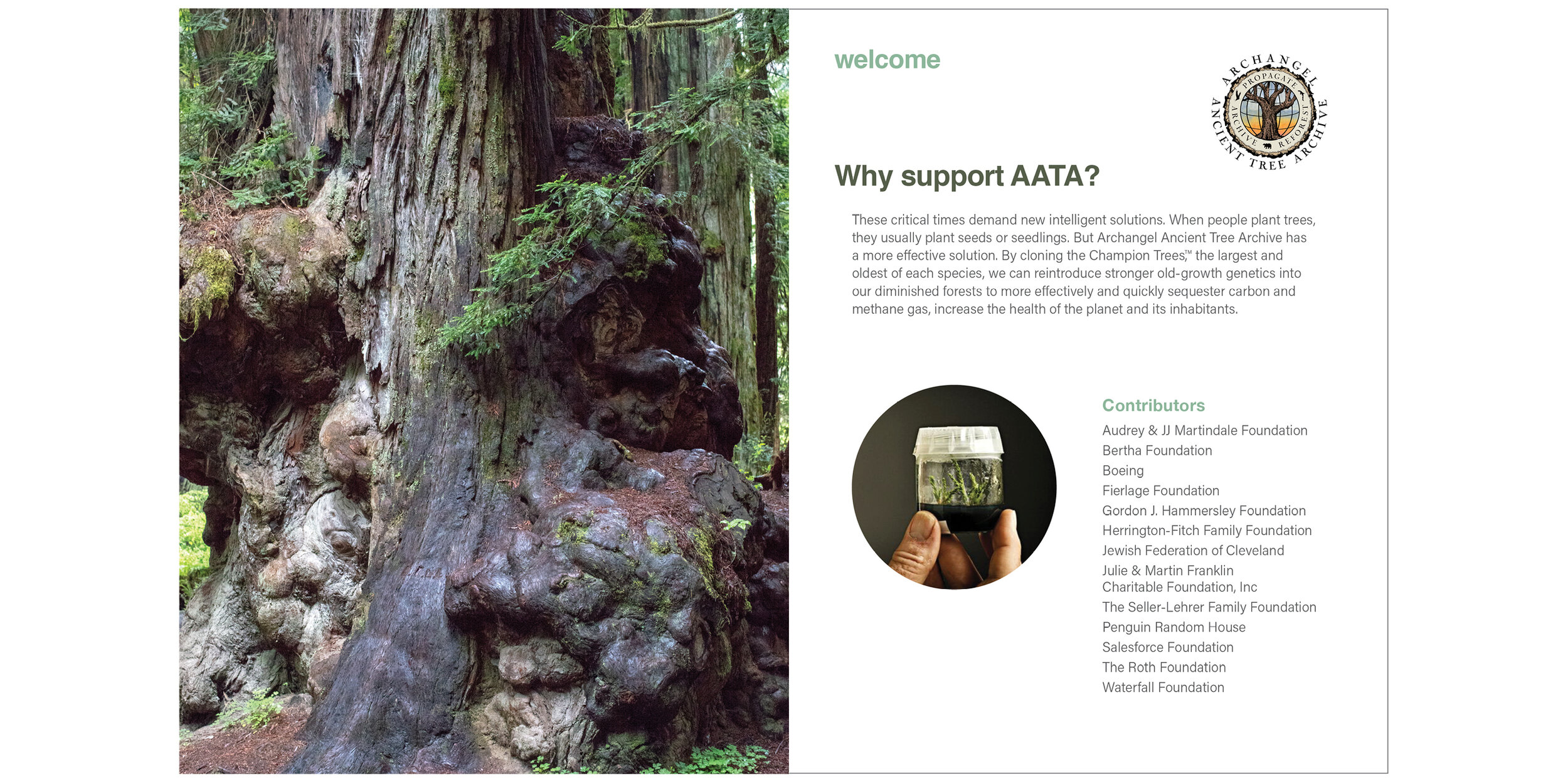Booklet created for Archangel Ancient Tree Archive Fundraiser