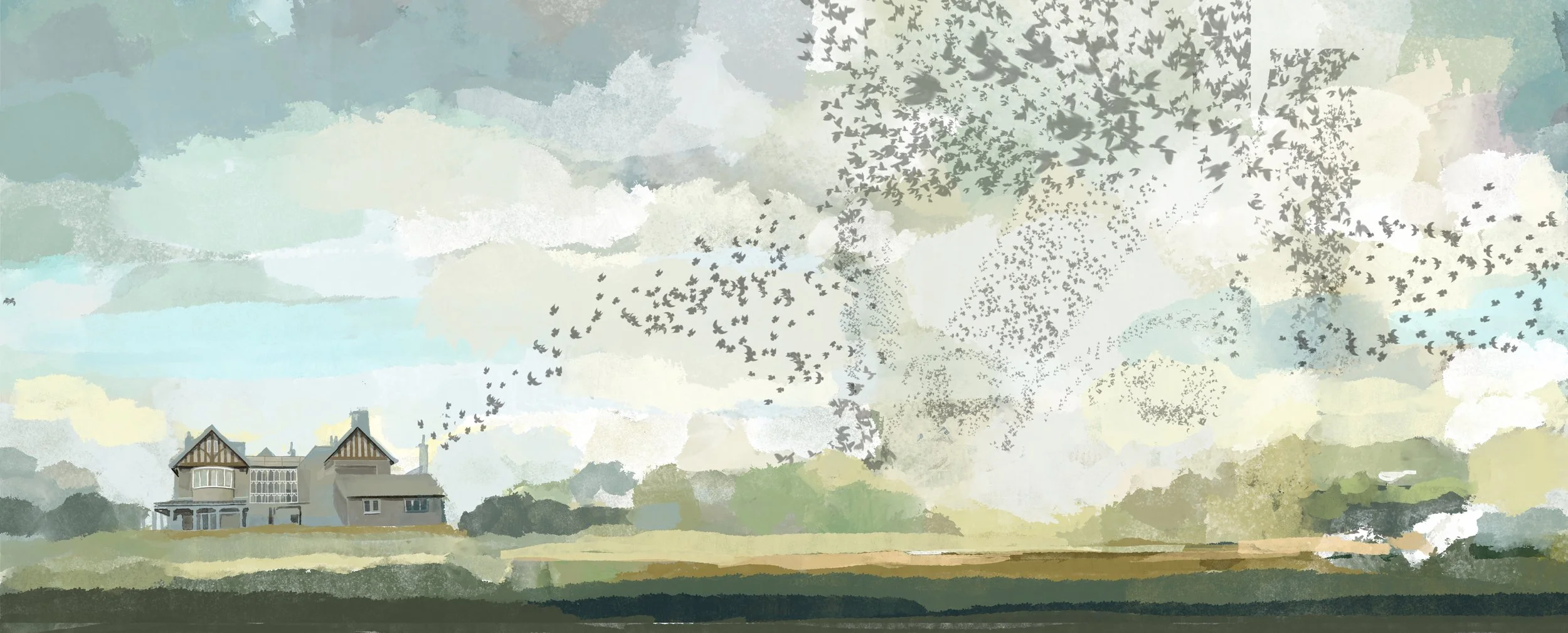Murmuration_Spread.1 2.jpg