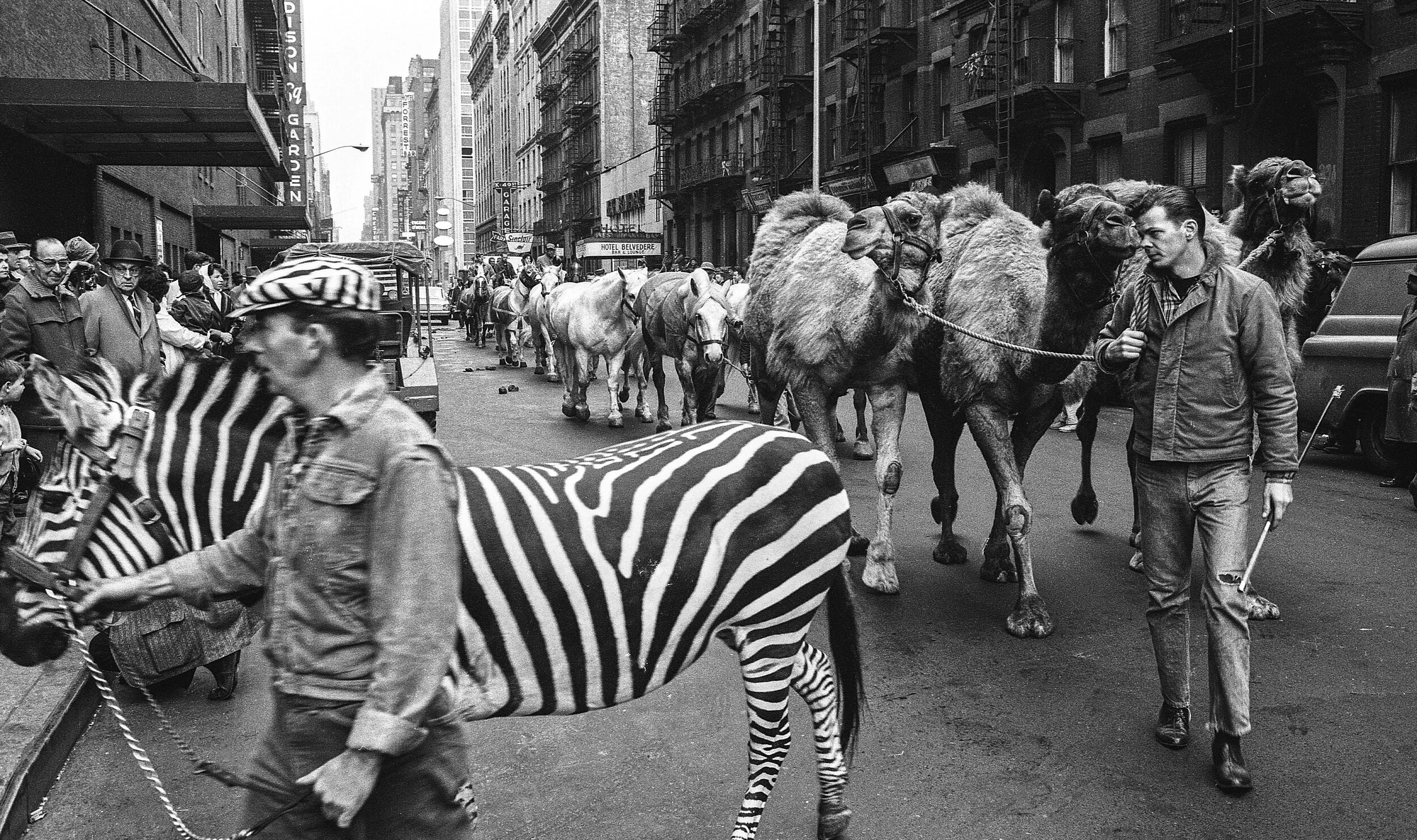 Photoville_13_00052 img008_PRIYA.JPG