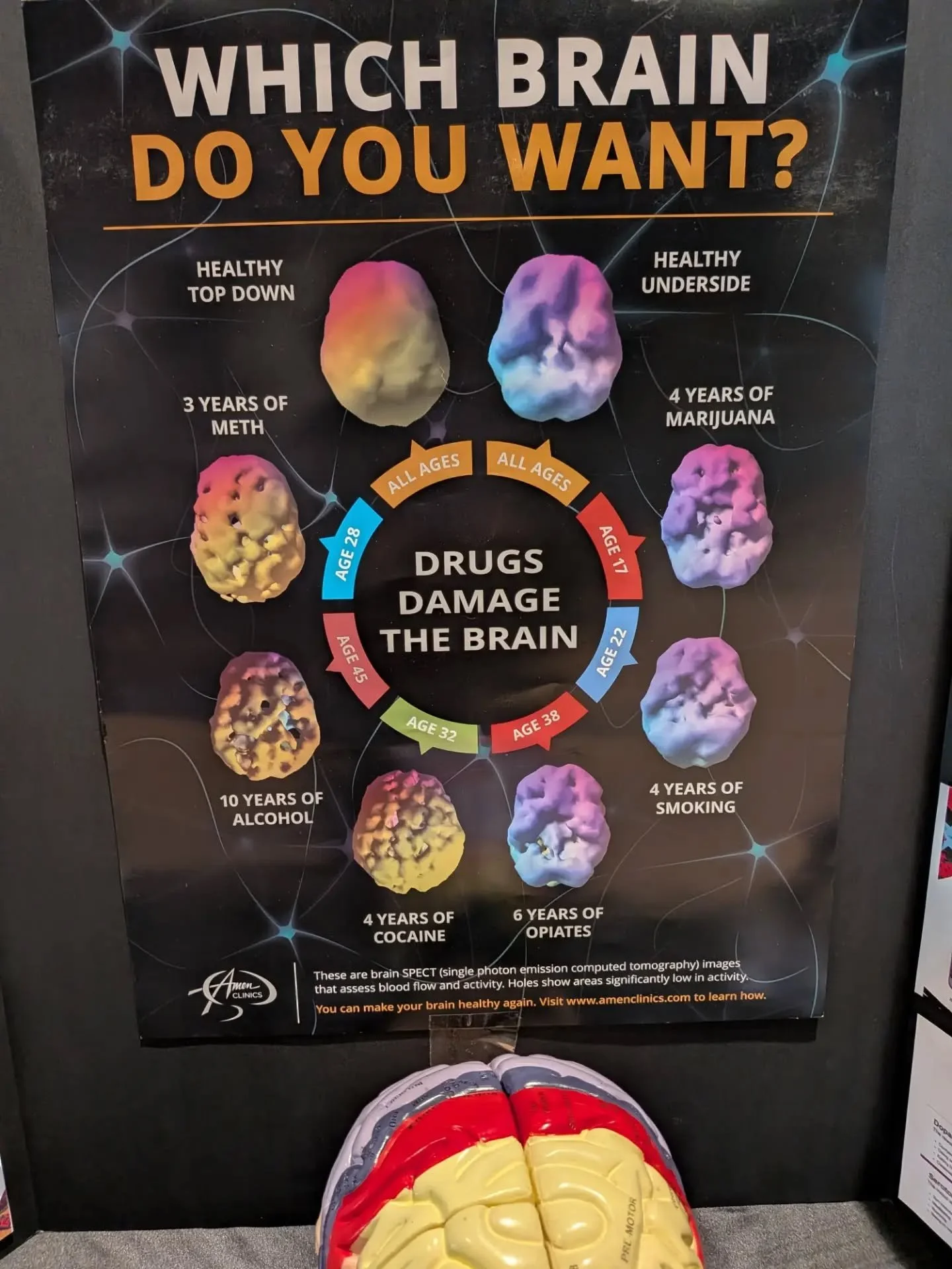 817742278_18008878811954753_5357187748590871626_n.jpeg