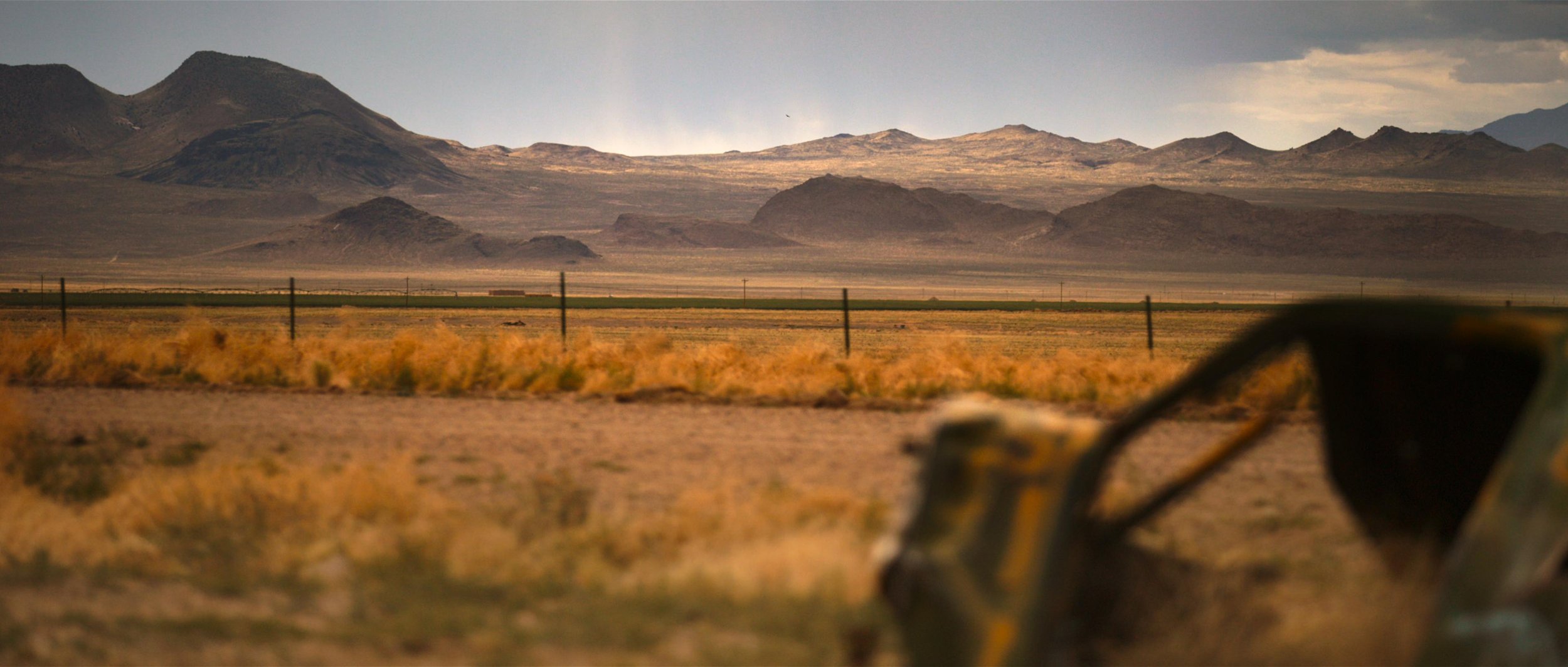 Storm Area 51. Raw for Netflix