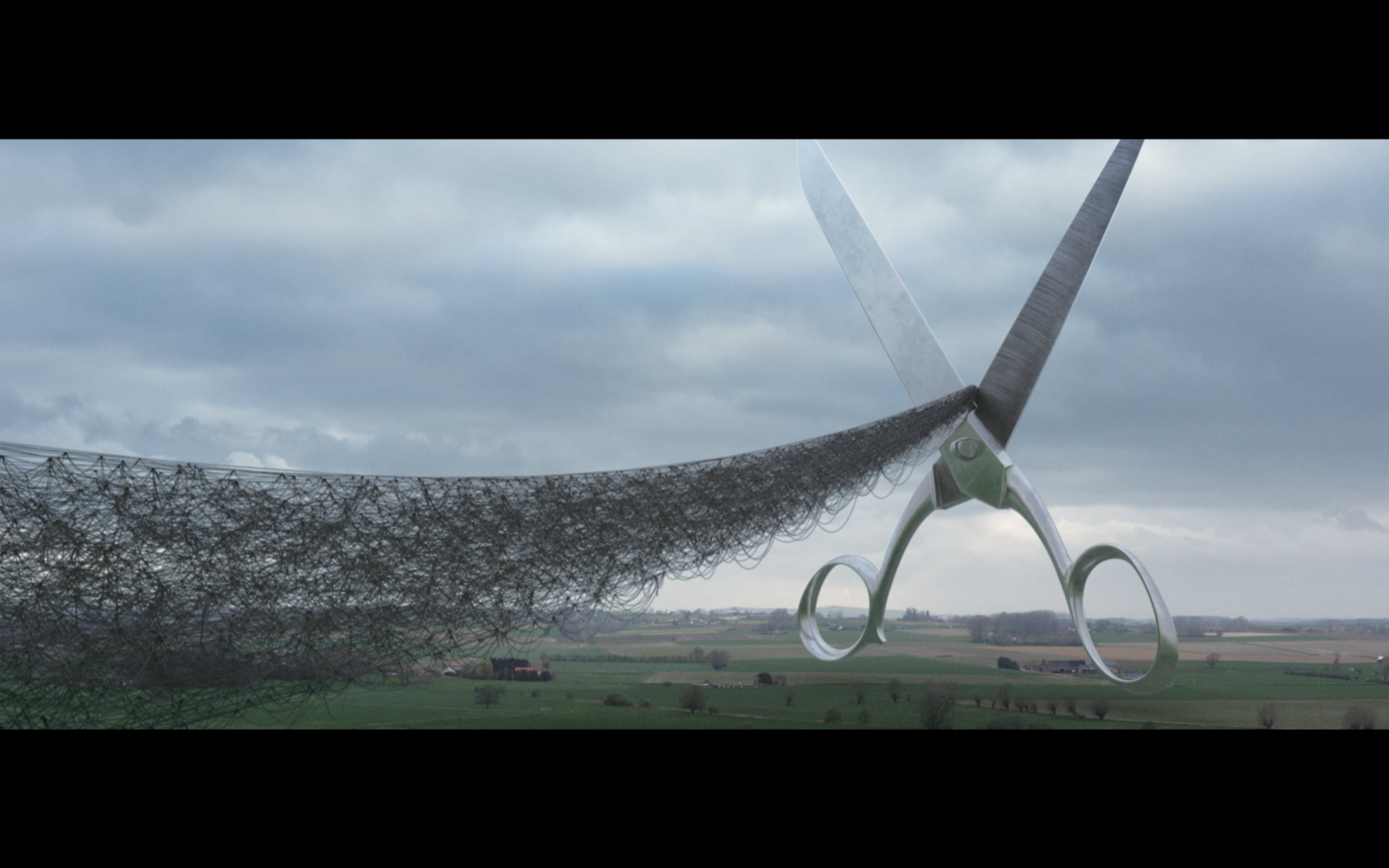 AMLN TOBIN: VIPERS FOLLOW YOU