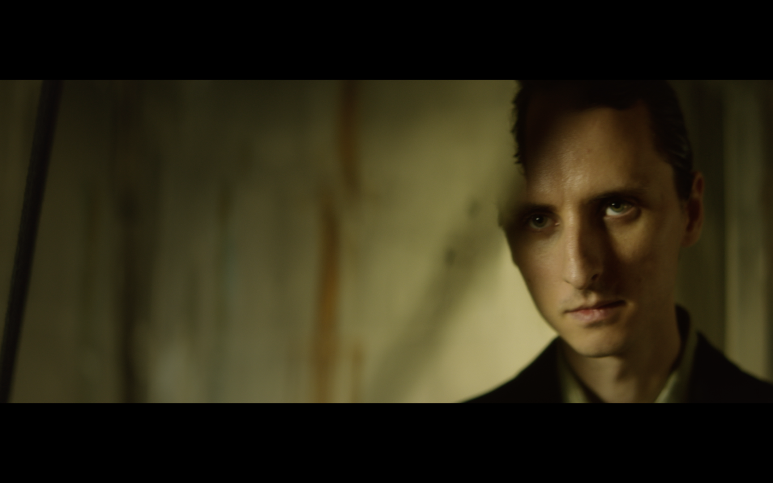 THESE NEW PURITANS: WHERE THE TREES ARE ON FIRE