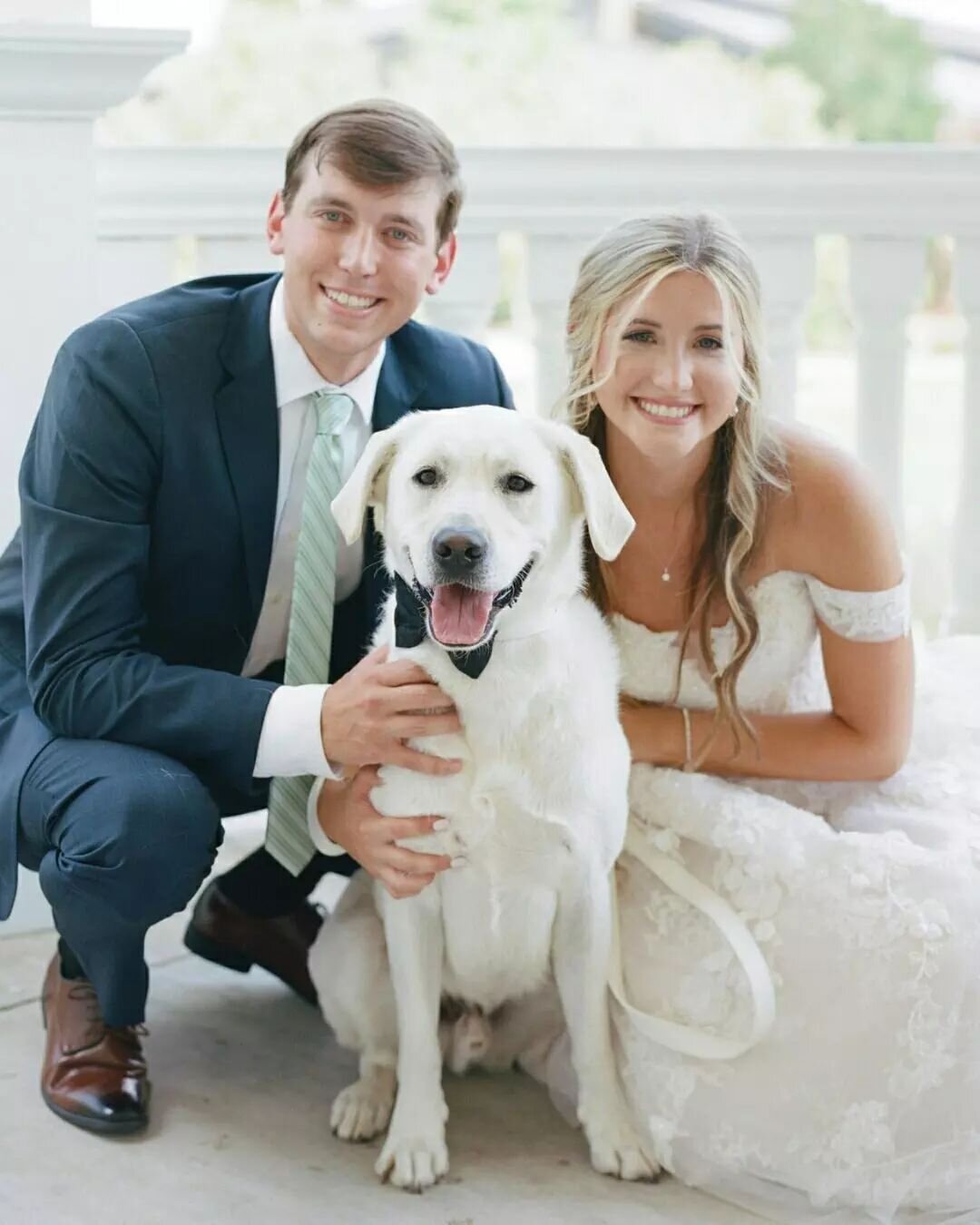 Happy National Dog Day&nbsp;🤍 
​
​We can't get enough of these adorable photos from our brides who had their pup be a part of their wedding!&nbsp;😍 
​
​Brides: @emmagbjohnson / @vgburch&nbsp;
​Gowns: @martinalianabridal / @moniquelhuillierbride&nbs