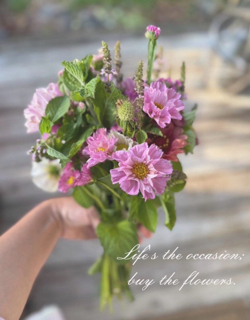 Limited spots available for Flowers from The Nectary bouquet CSA. If you&rsquo;d like to be guaranteed a monthly parcel of joy, sign up via email.