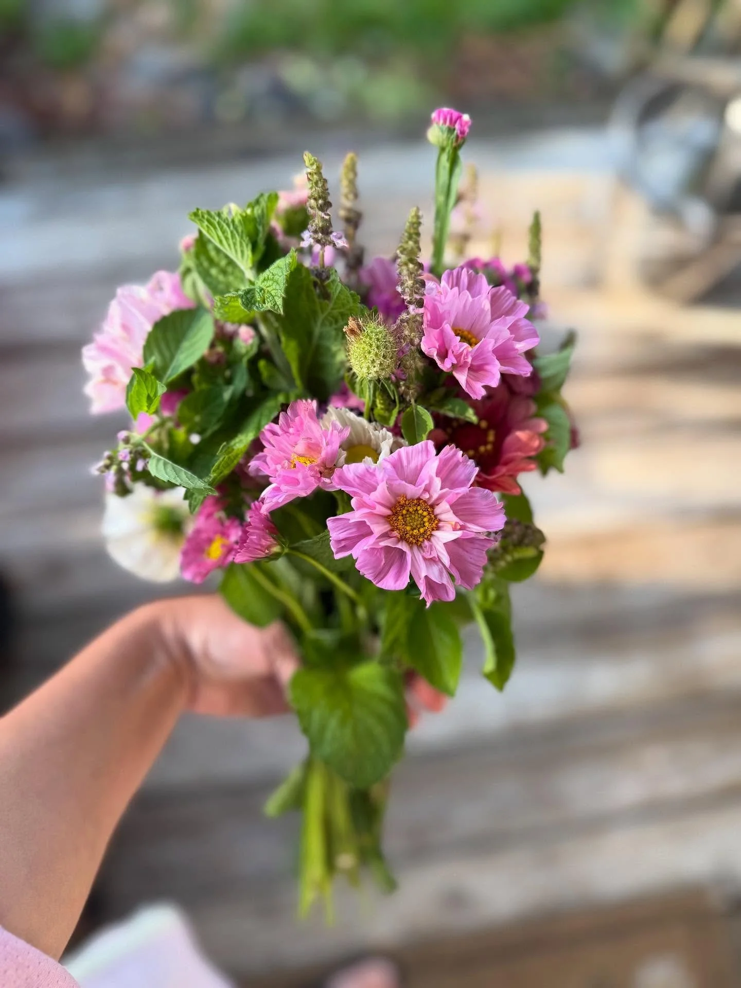 Loving the flowers we cut for this weekend! Available at Calgo Gardens 
Small bouquets $15 each 
Large bouquets $25 each