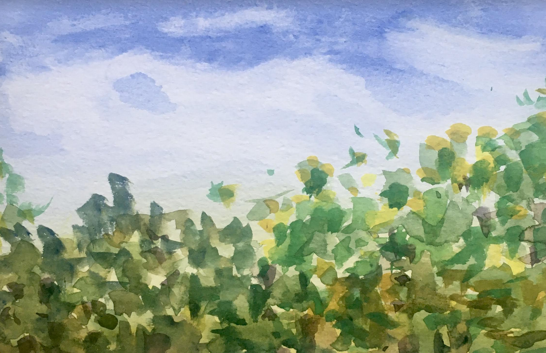 Julia_Montepagani_Watercolor_6.png