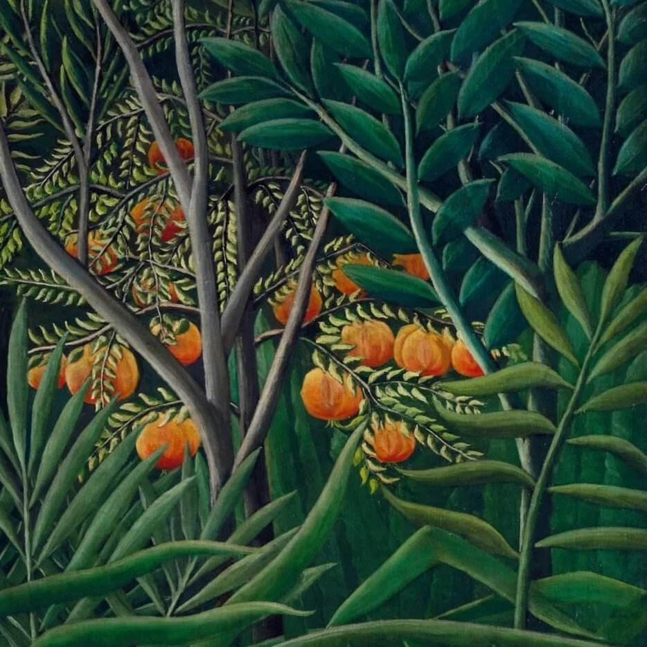 Opens on January 1 2024