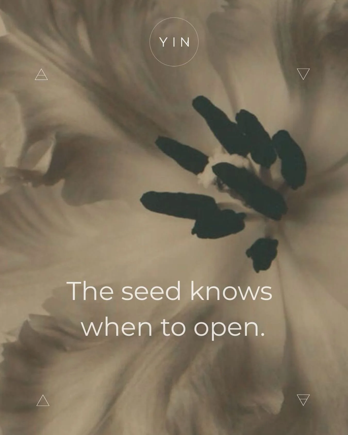 They know&hellip;

The world of business often rewards speed.
Launch faster. Grow faster. Raise faster.

Yet some of the most meaningful things in nature cannot be forced.
A seed does not bloom because we pull on its leaves.
It blooms when the condit