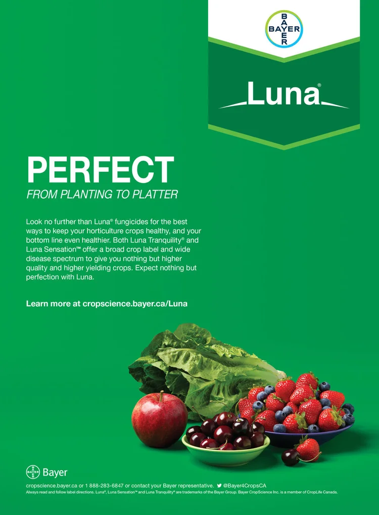 Luna tranquility label