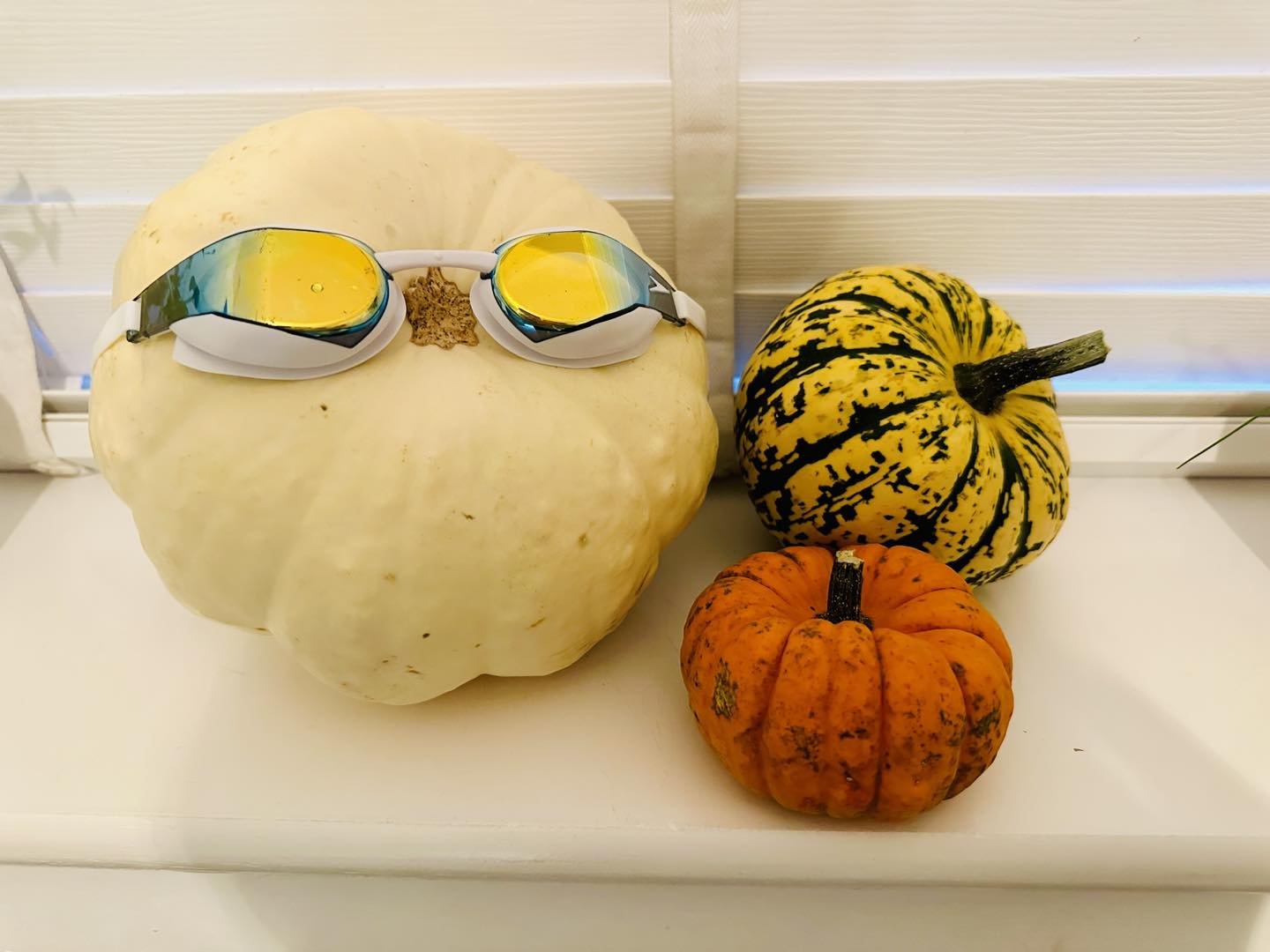 The swimming pumpkins are back to wish you all a Happy Halloween! 🎃 🧙👻