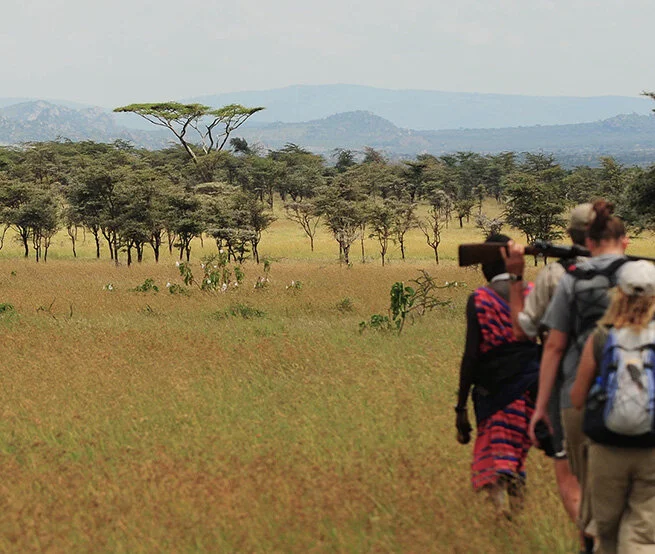 thornton-safaris-serengeti-trek crop.jpg